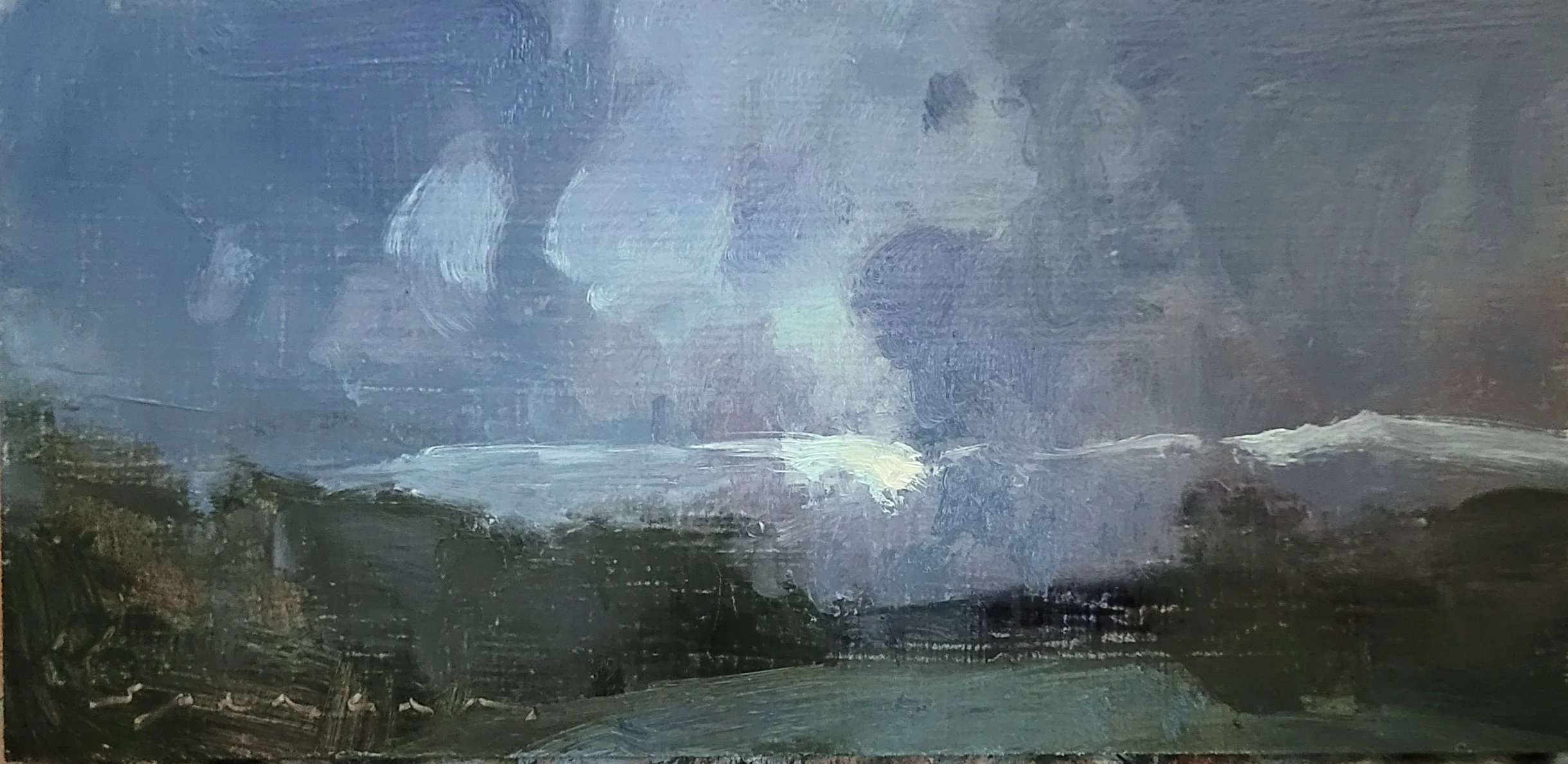 Silver Streak 4x8 oil on panel 2026.jpg