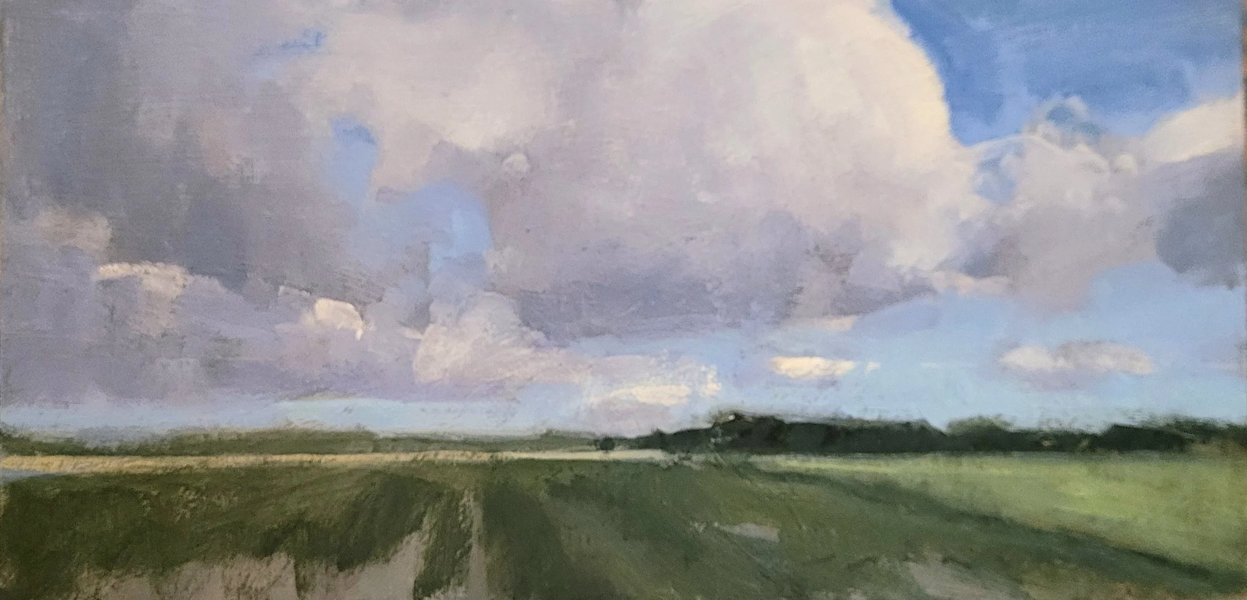 Tulip Fields After Cutting 6x12 oil on panel 2026.jpg