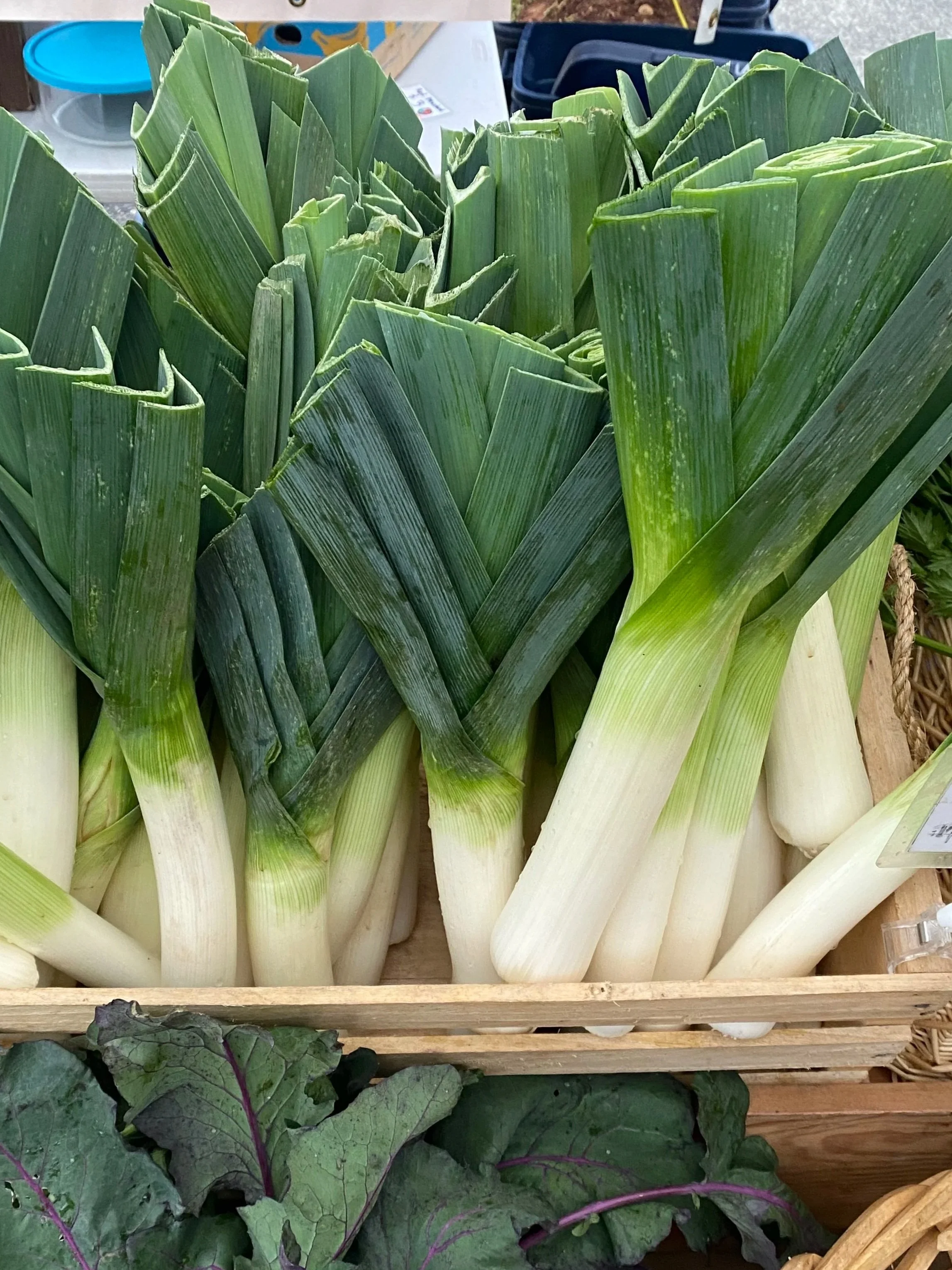 Earth Day at People's Farmers' Market!