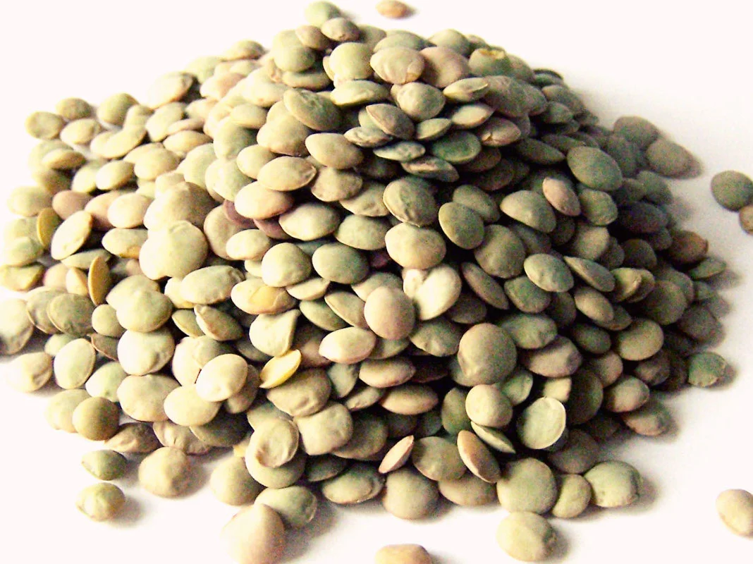 Moroccan Lentils