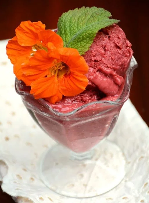 Raspberry Sorbet