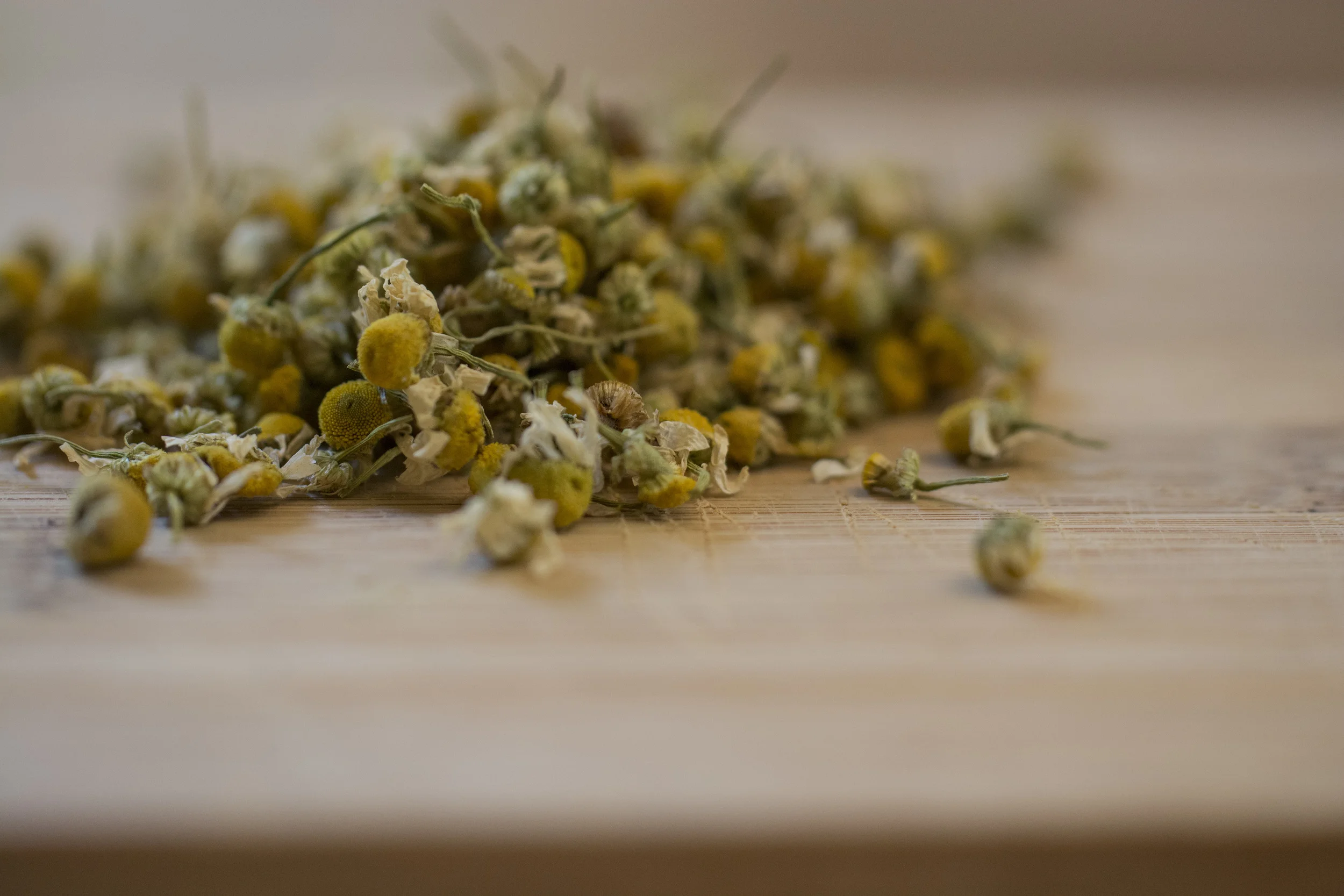CANCELLED: Herbs for the Healing Mind 11/10