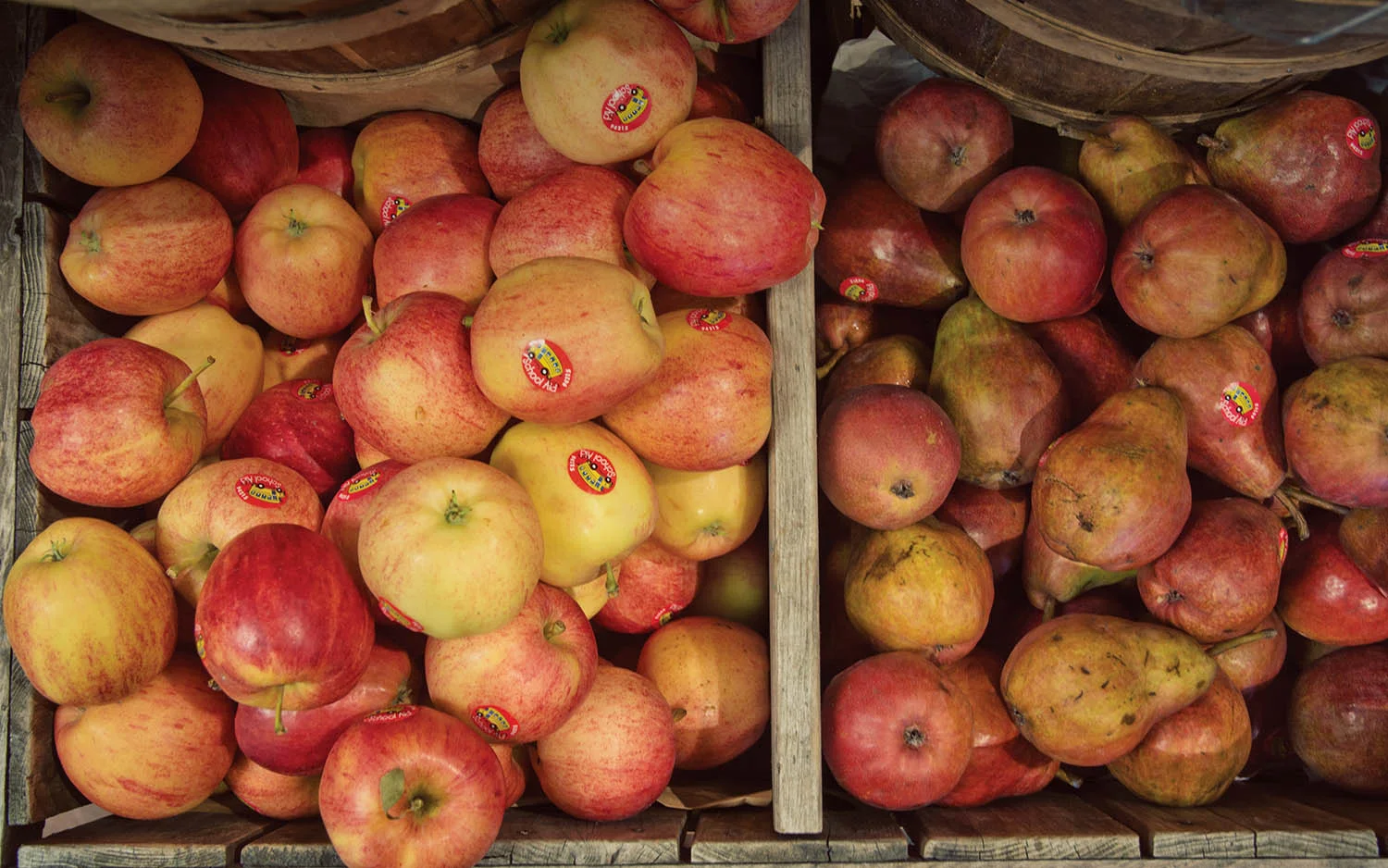 School Aid Fruit: 90% Proceeds Go To Local Schools