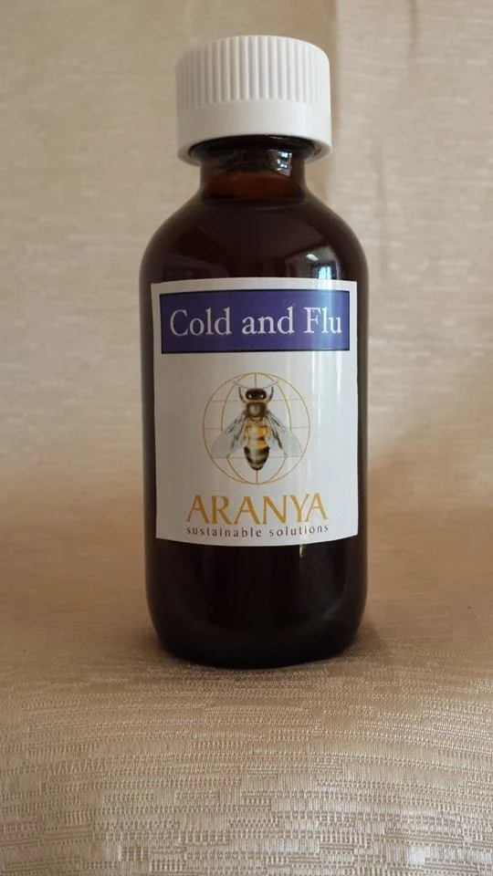 Herbal Remedies for the Cold Season