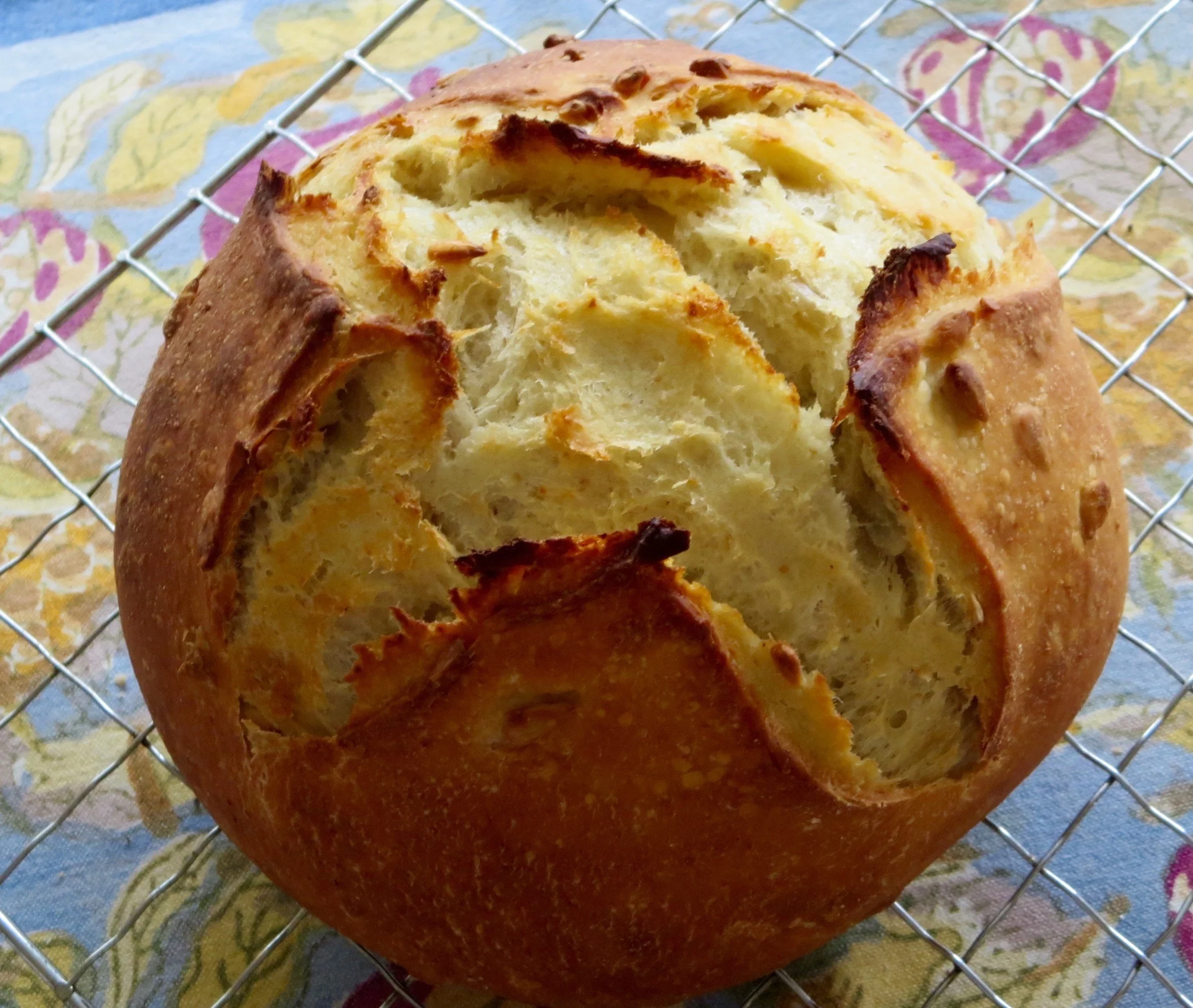 FULL - Sourdough Bread: Make Your Own Starter