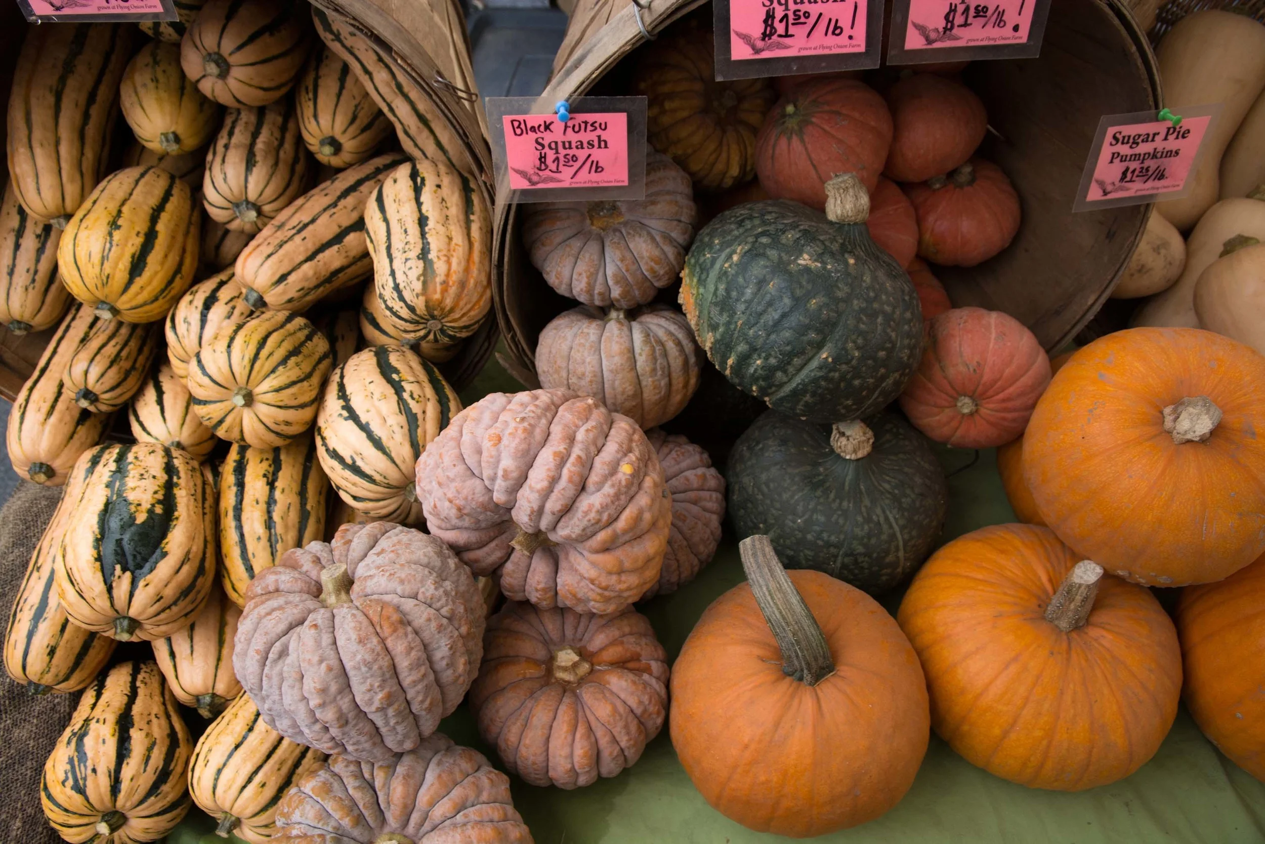 Thanksgiving Baskets