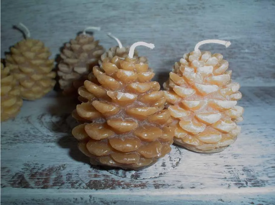 Make Your Own Beeswax Candles 12/20
