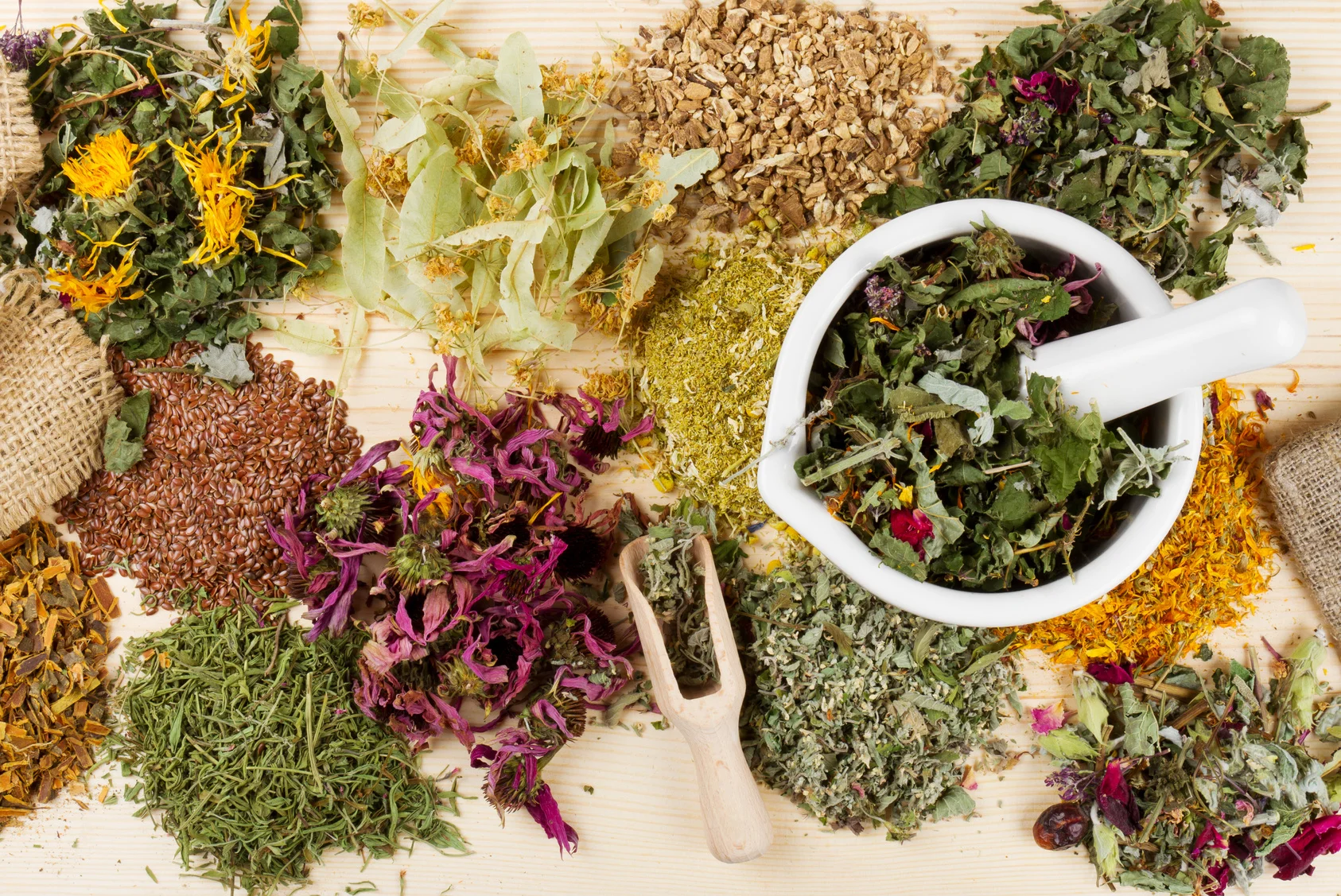 Botanical Support for Pregnancy and Lactation 2/6