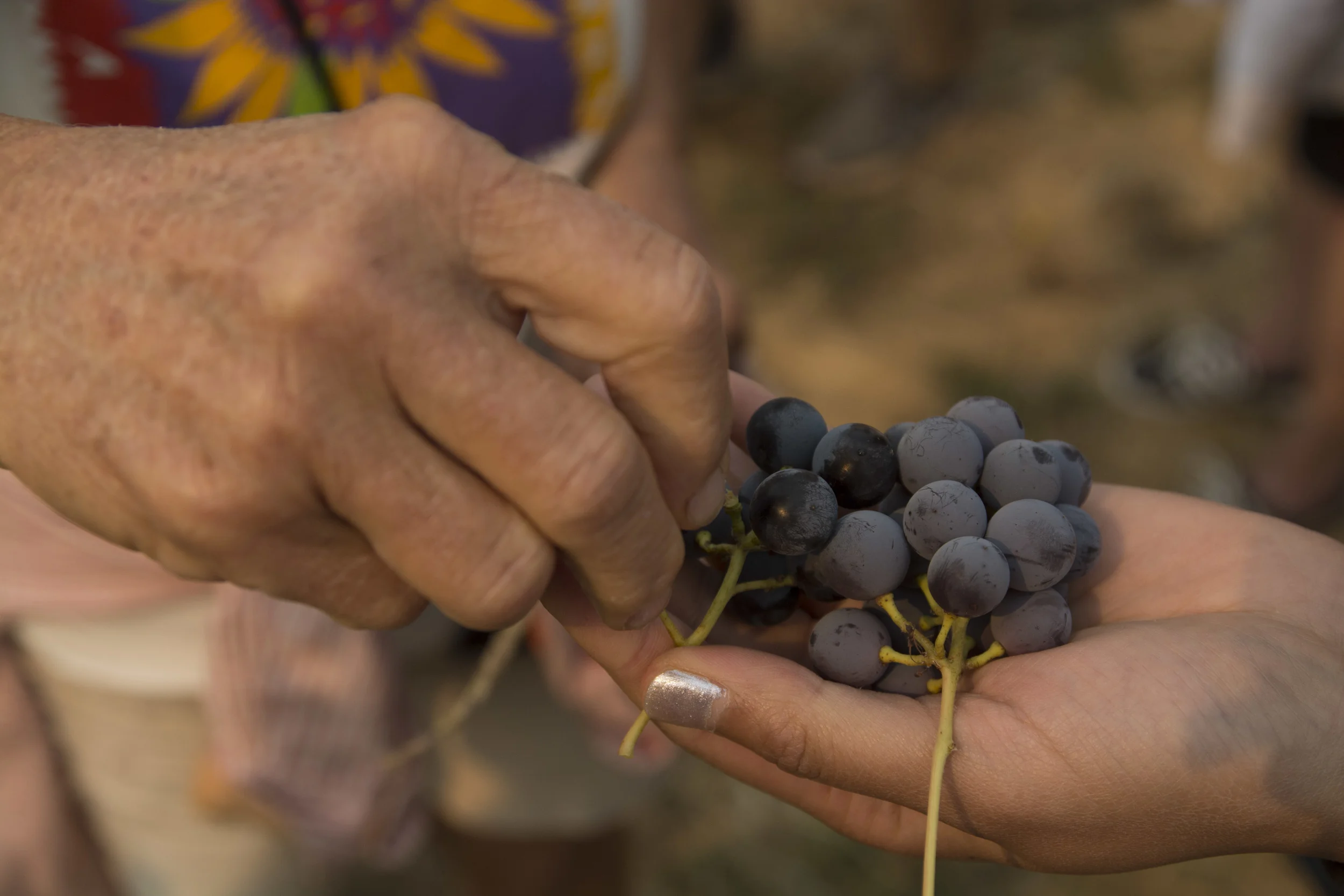 FULL: The Power of Our Food Choices 2/19