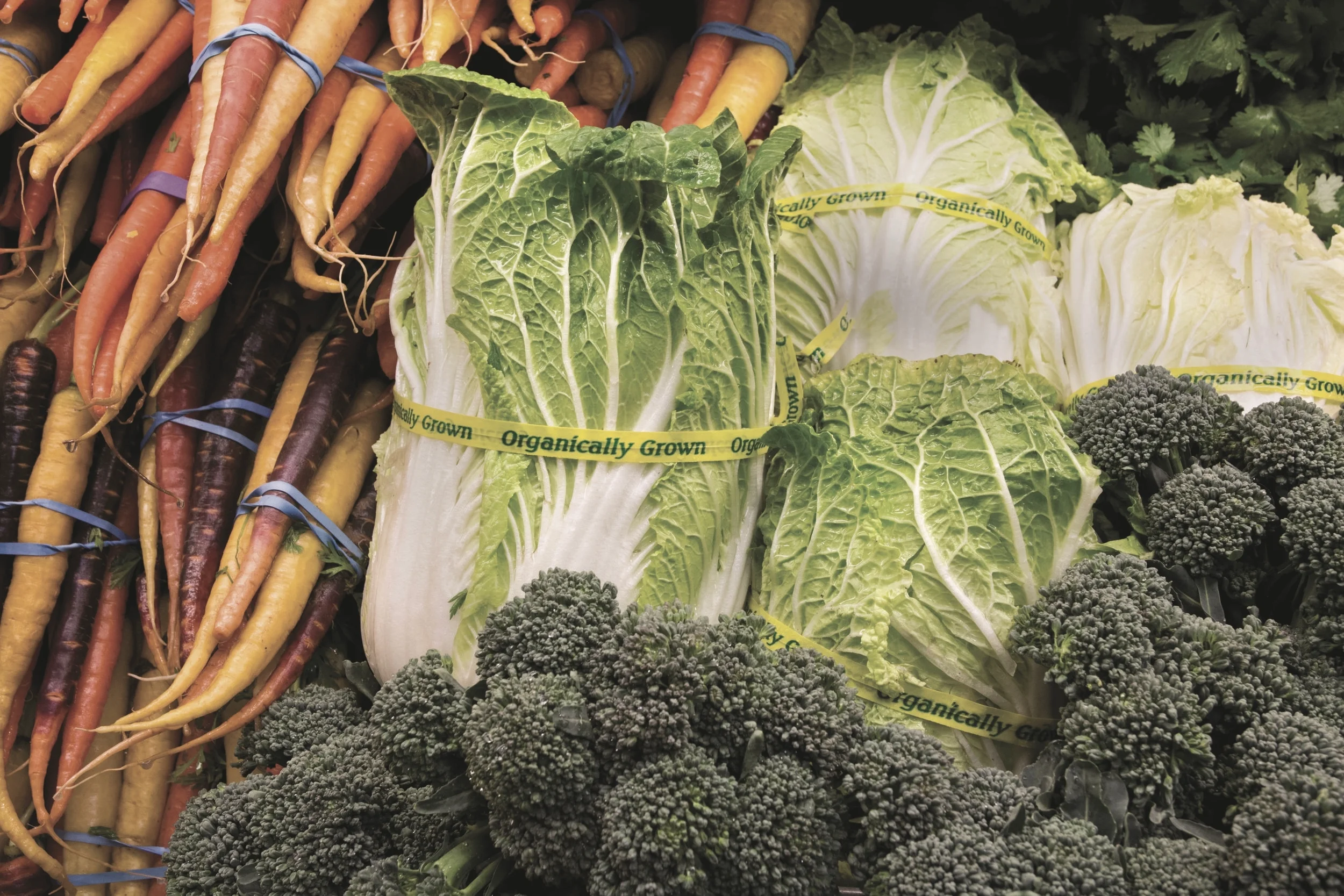 Daily Detox: Tools for Thriving in a Challenging Environment