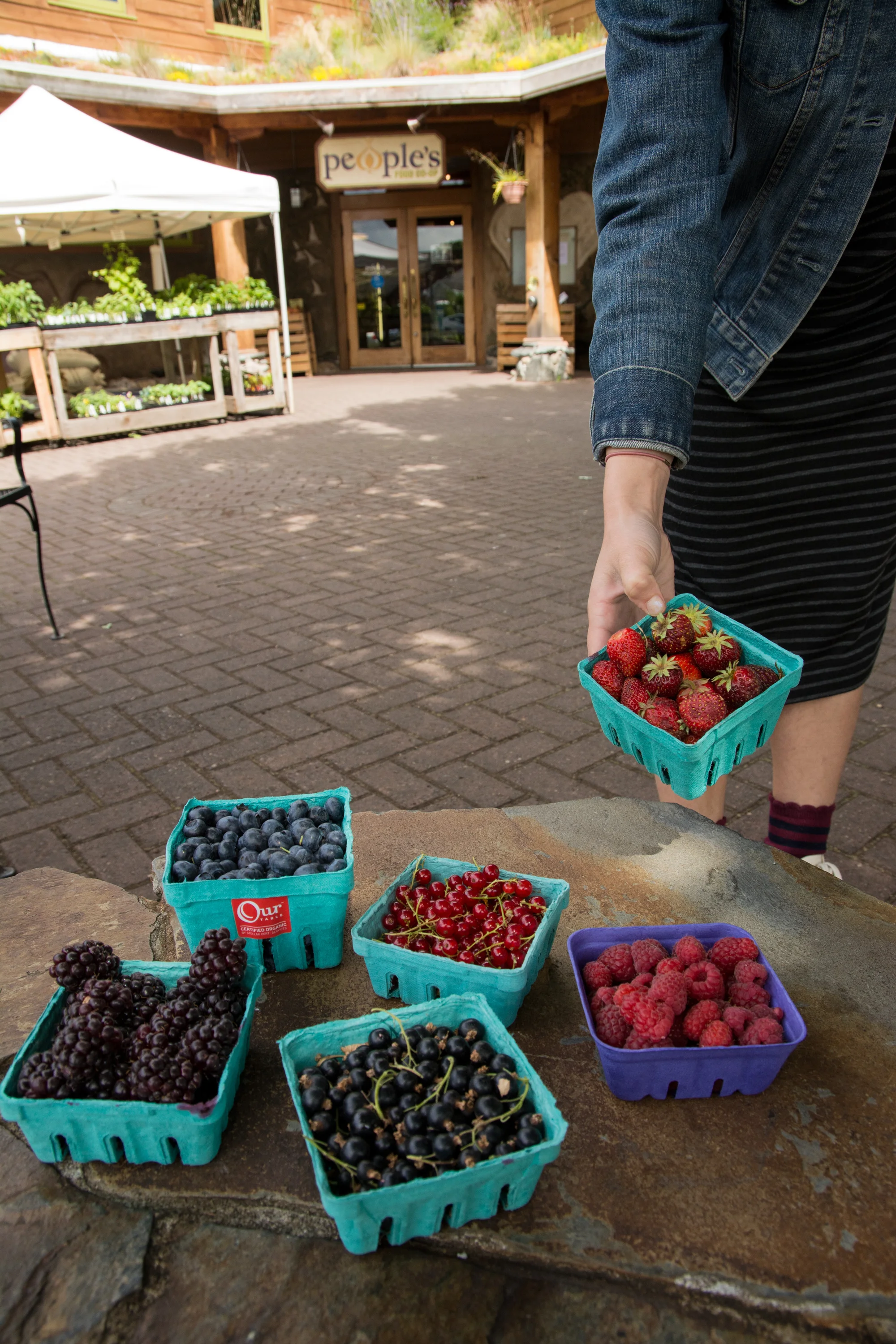 berries.jpg
