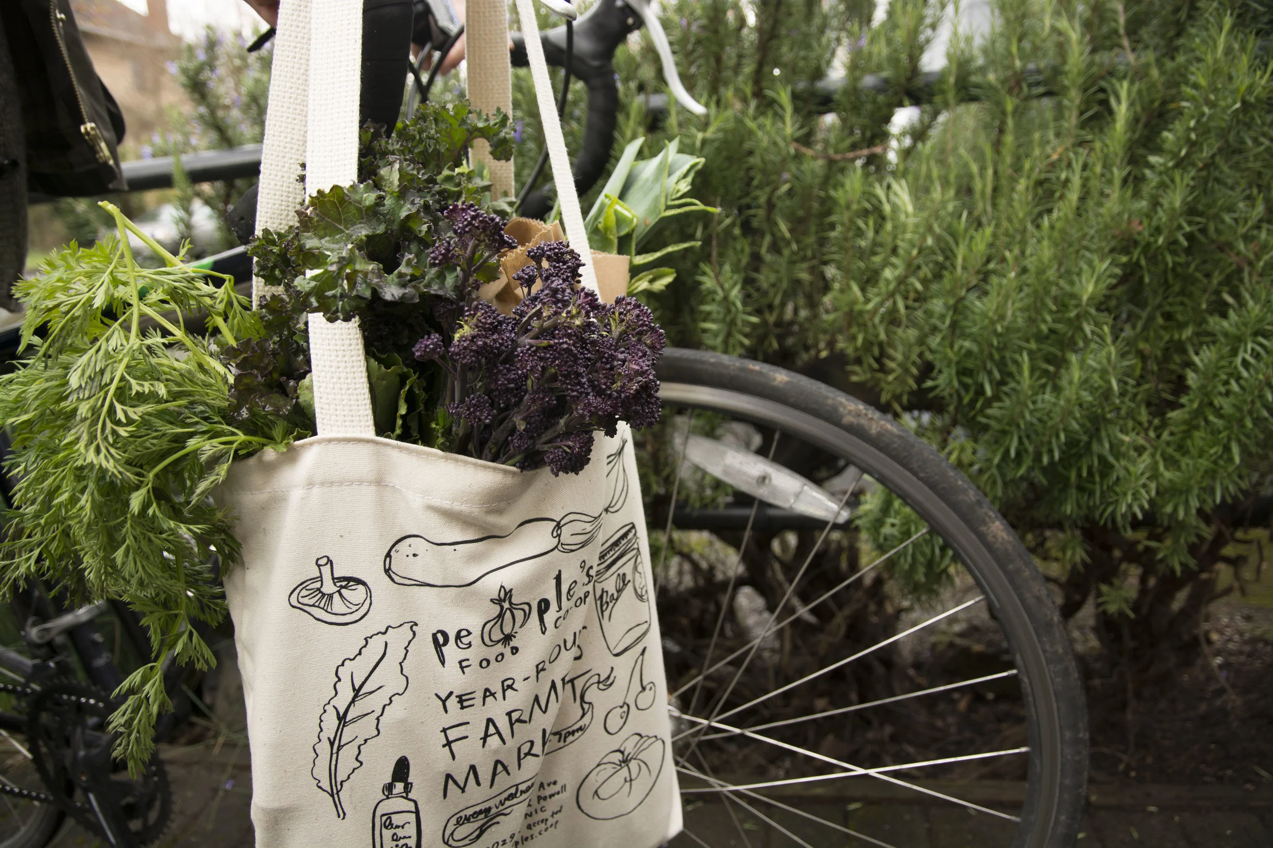 Food Rights by Bike with Know Your City