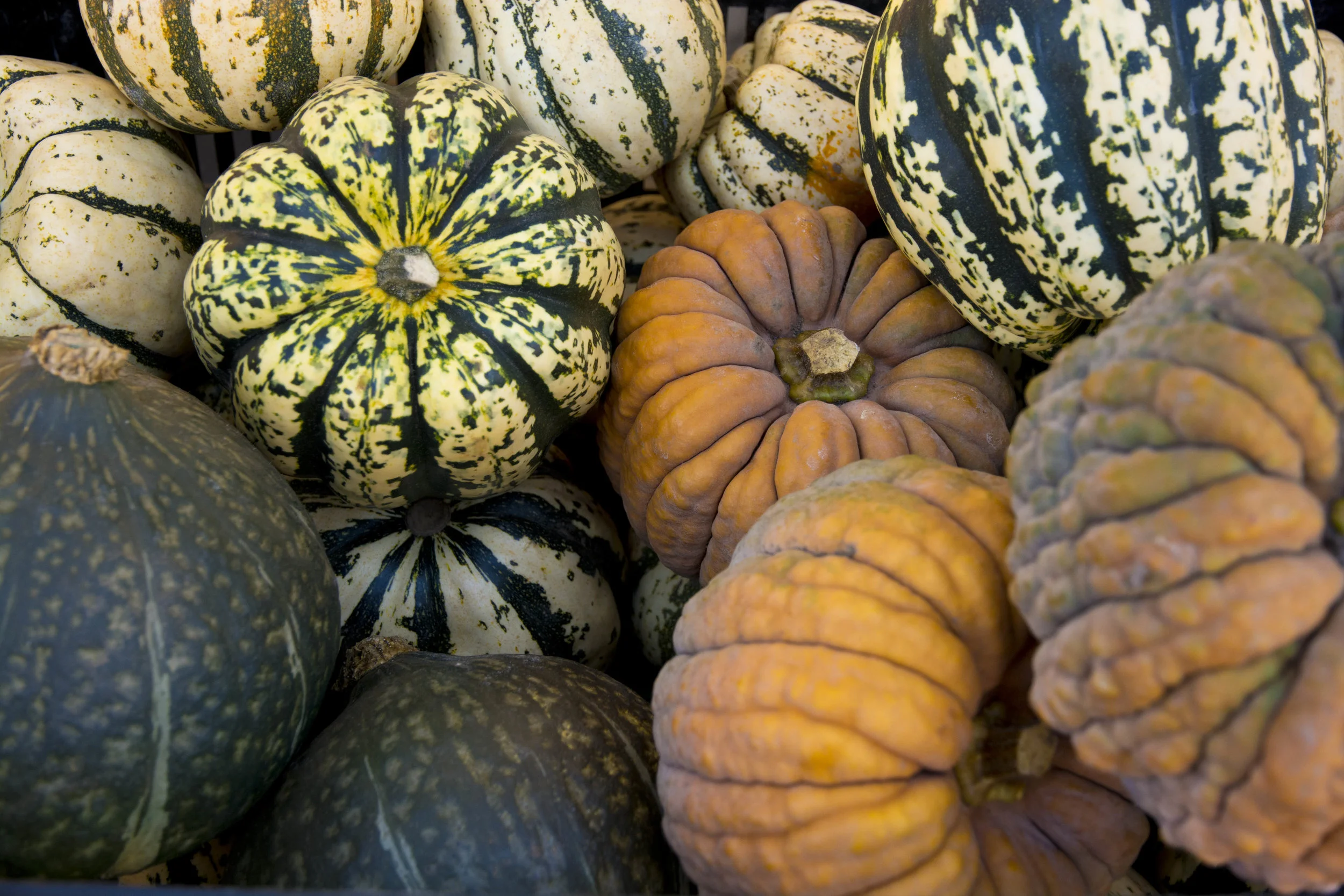 Thanksgiving Baskets