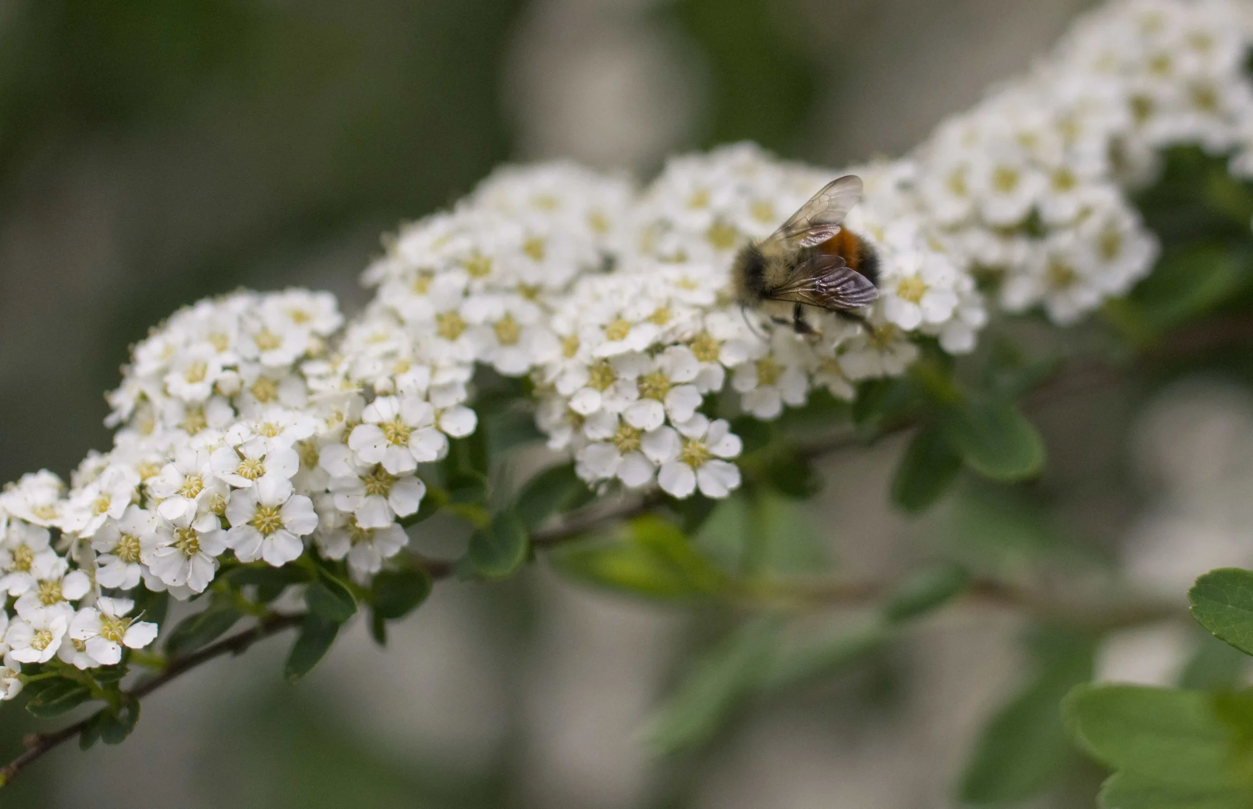 Balancing Women’s Hormones Naturally