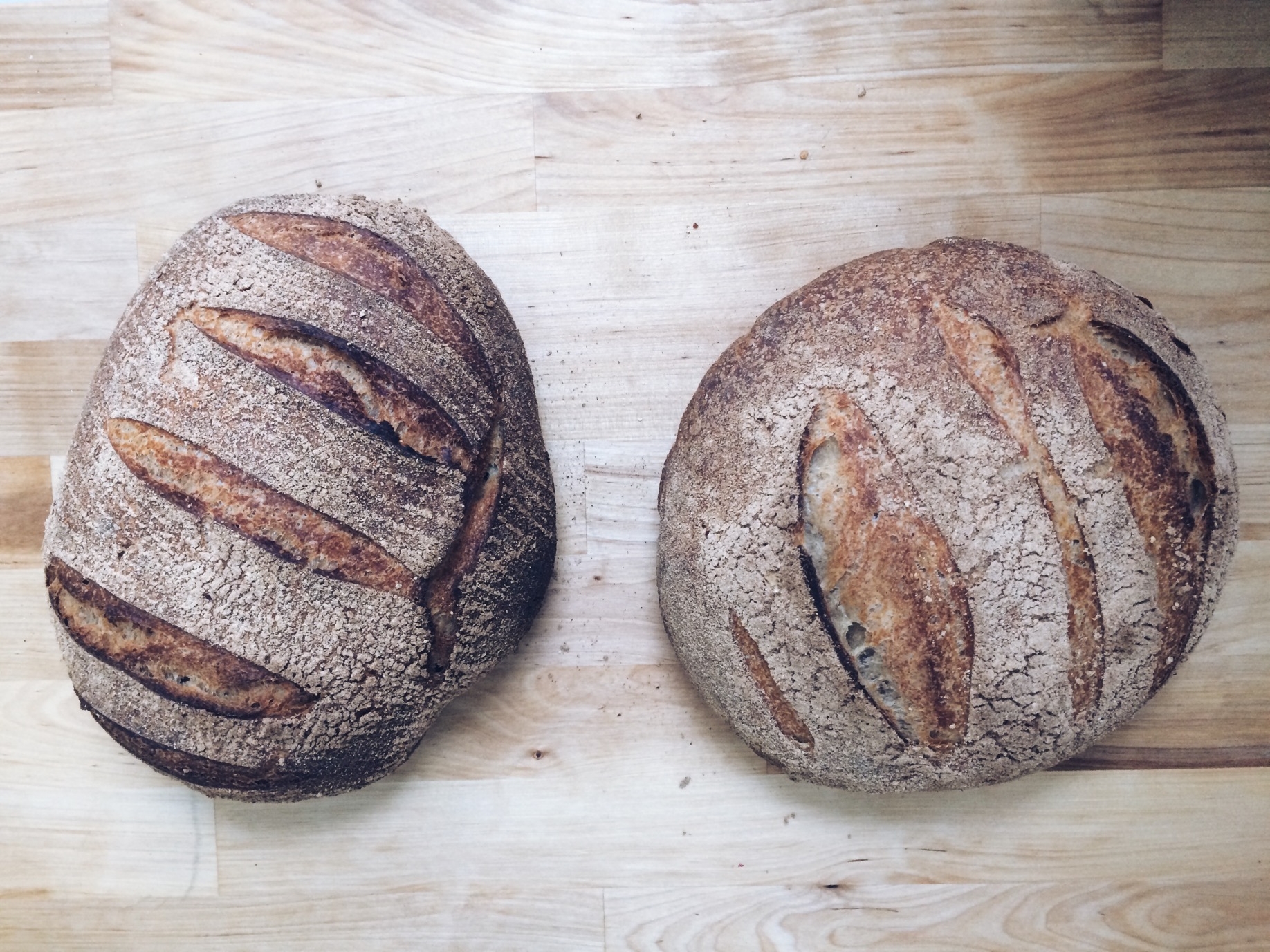 Make Your Own Sourdough Starter