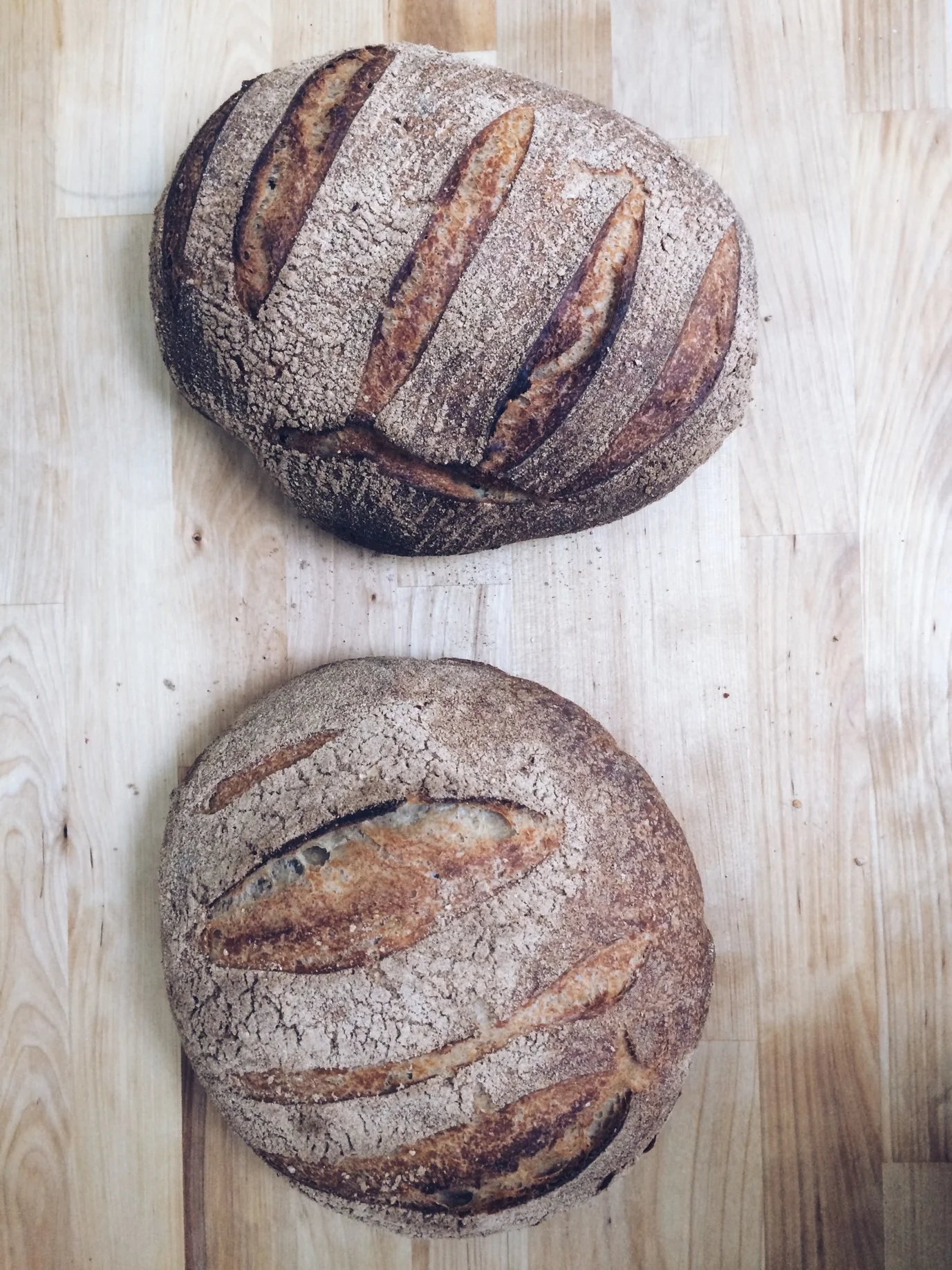 Sold Out: Make Your Own Sourdough Starter