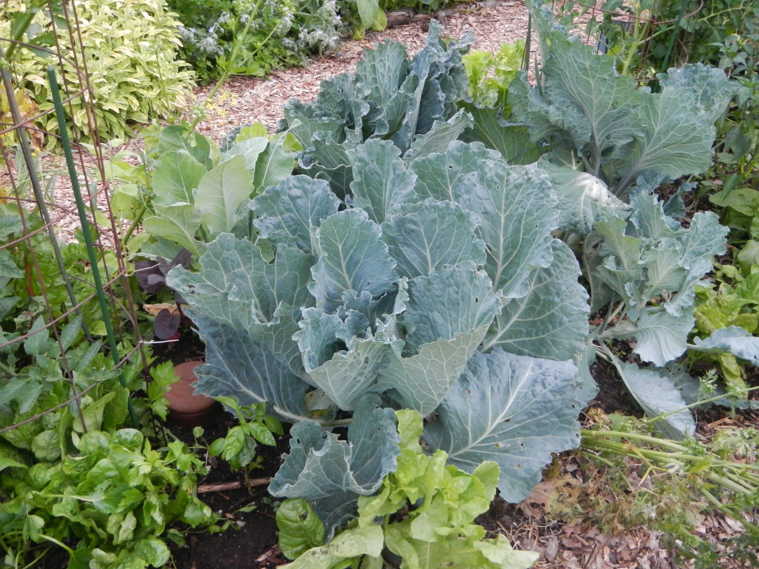 DSCN9195.jpg