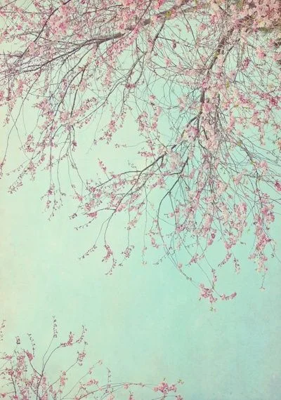 Self Care for the Nervous System 