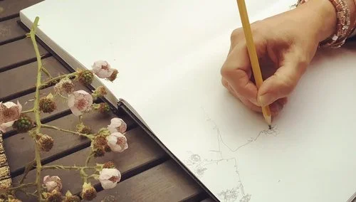 Drawing Plants: Fall Session