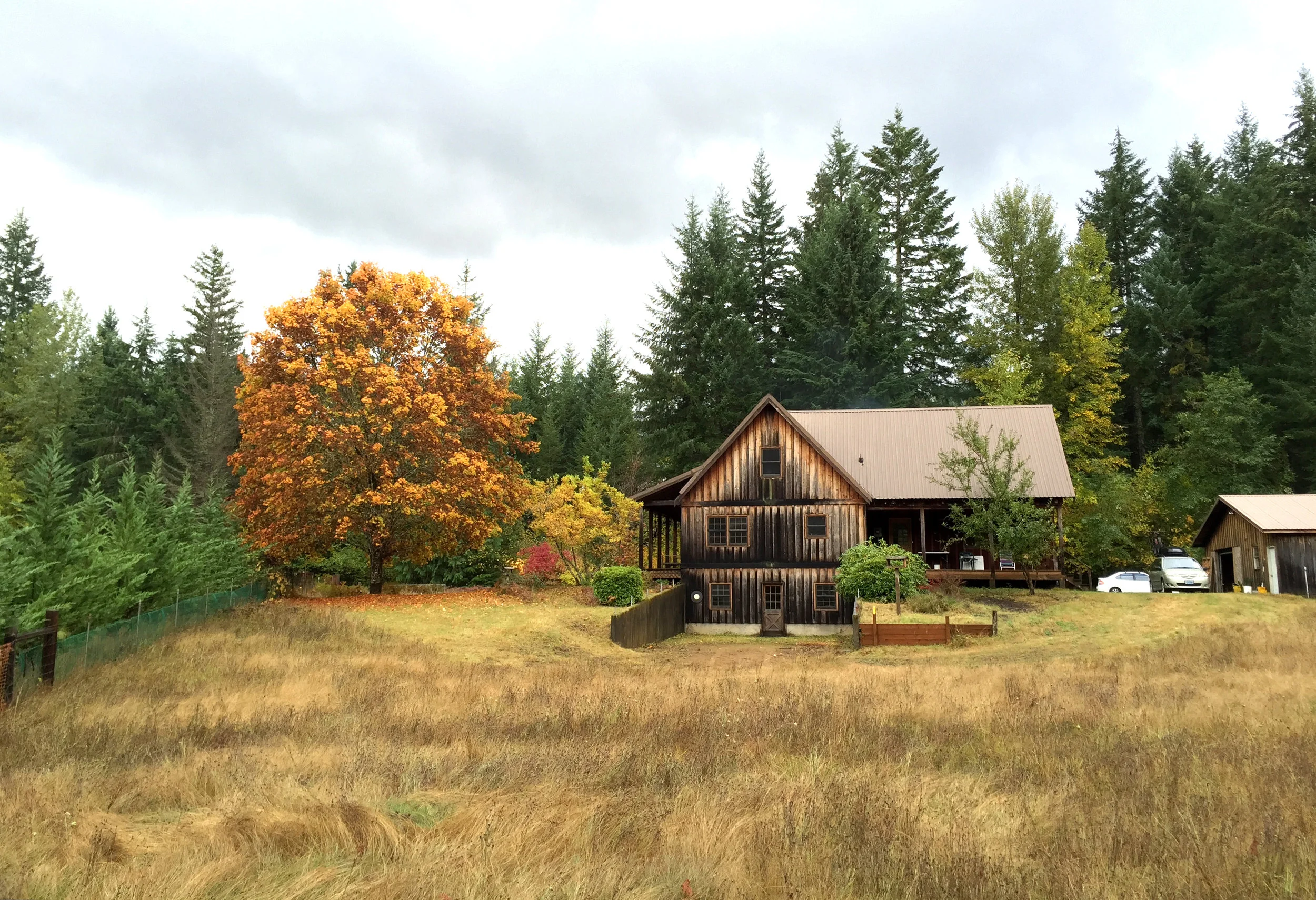 Melchemy Craft Mead: Makers in the Forest