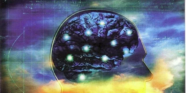 Learn About Your Nervous System
