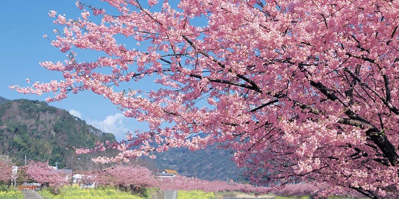 Self Care for the Nervous System: A Movement Exploration