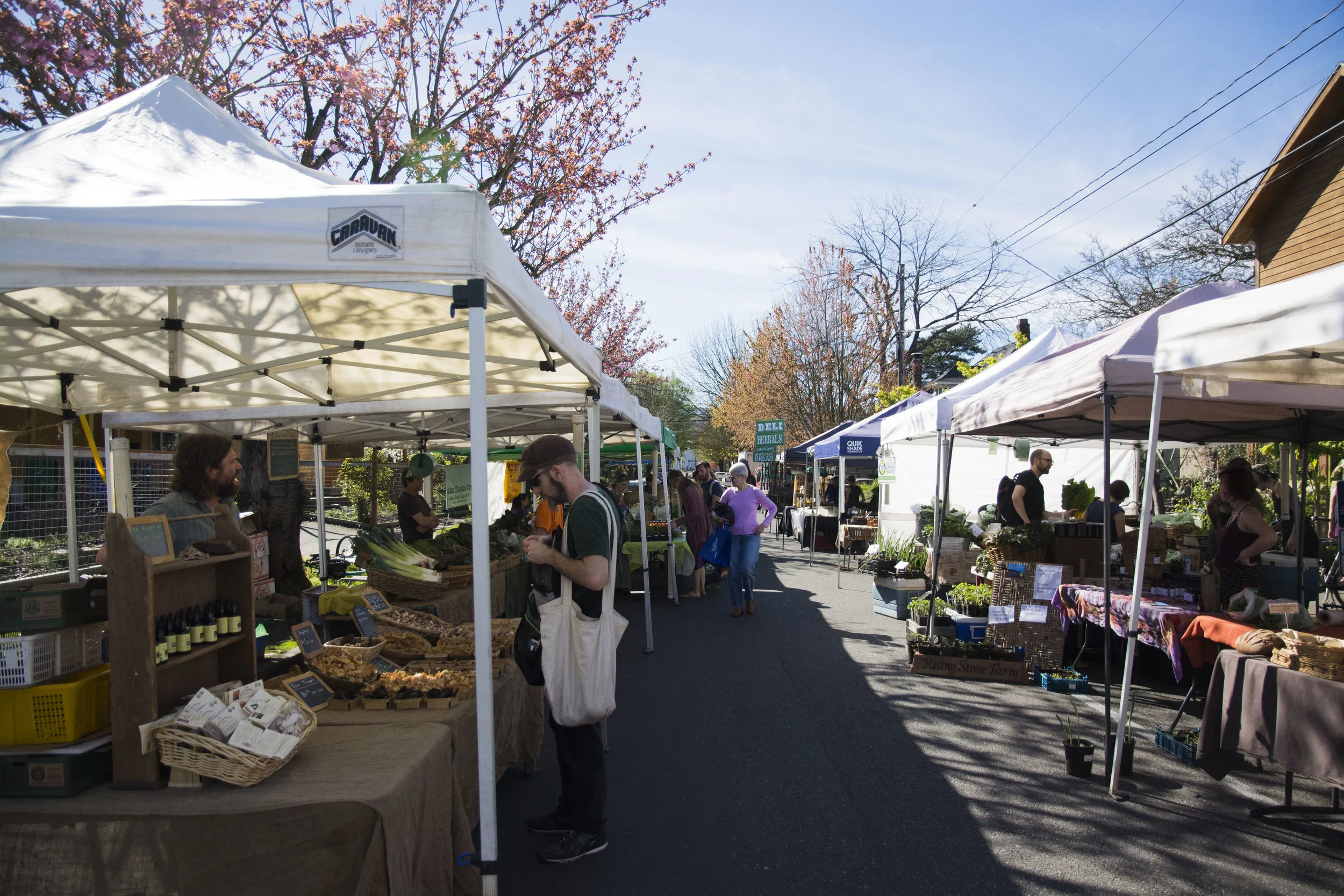 We've Reduced Our SNAP Match to $5 &amp; We Are Really Sad About It