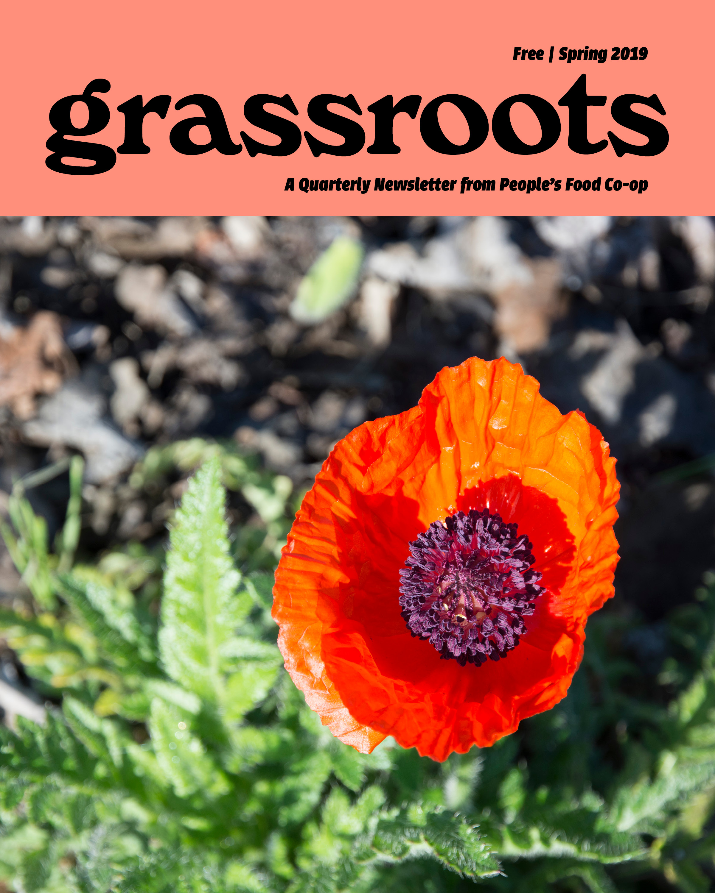 Spring 2019