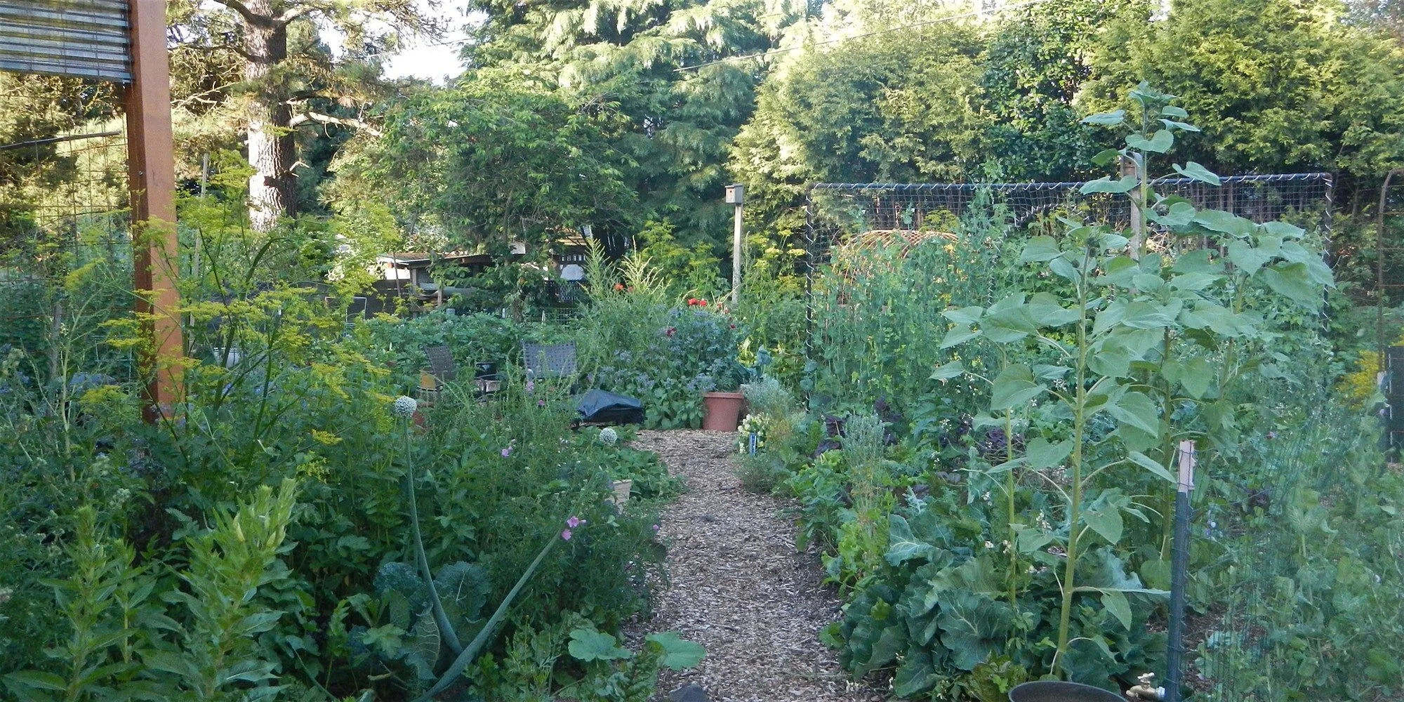 Grow Your Own Produce Series: Planning, Design and Framework