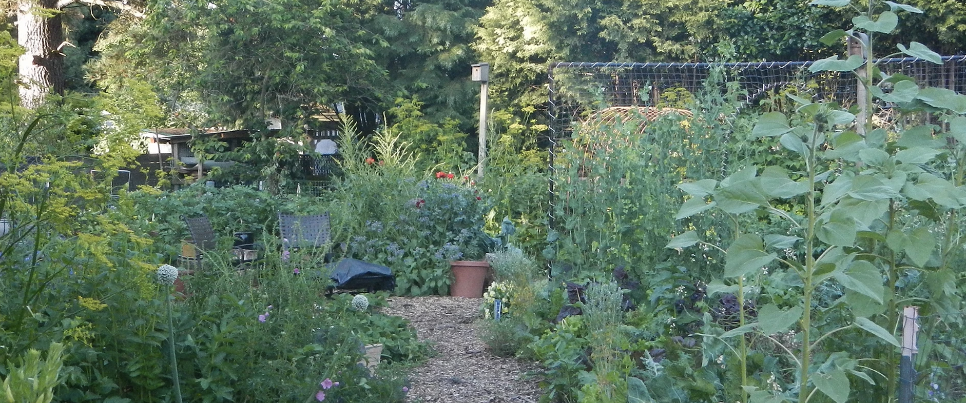 Grow Your Own Produce Workshop Series 2021