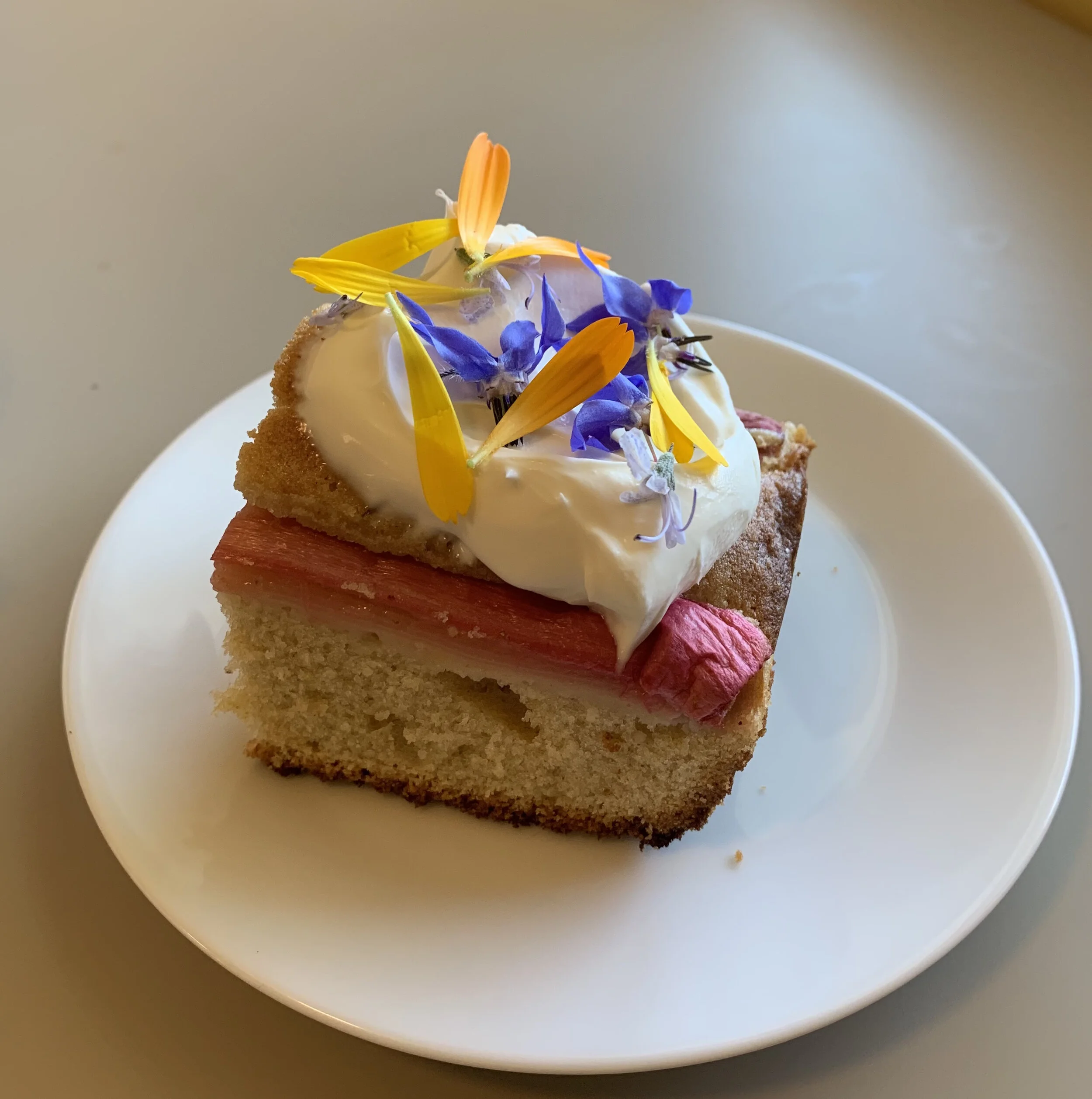 Rhubarb Caraway Cake