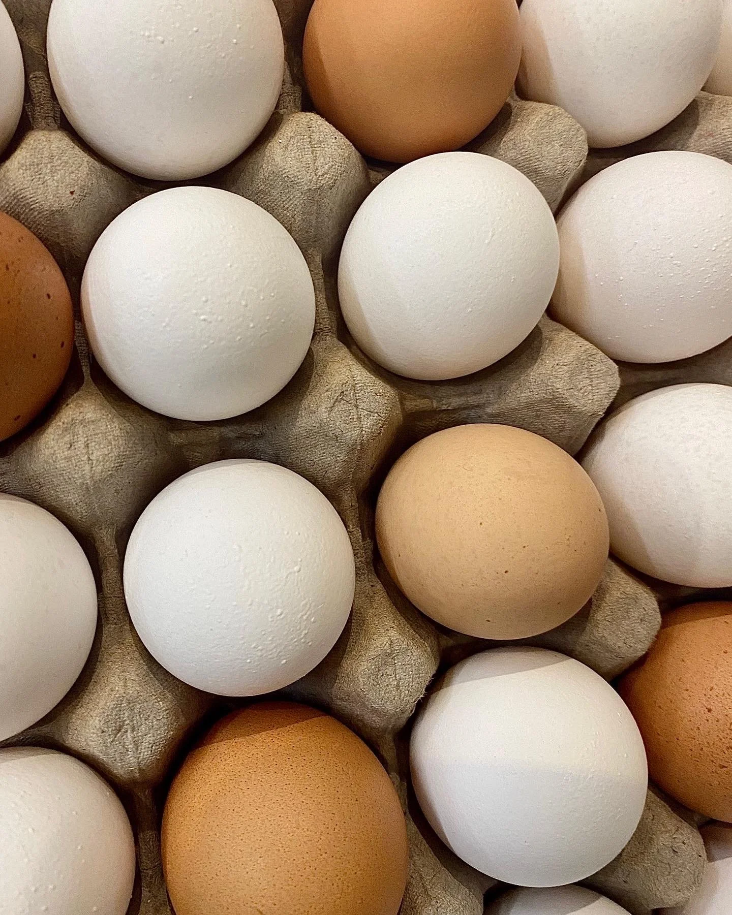 What's Up With Eggs?