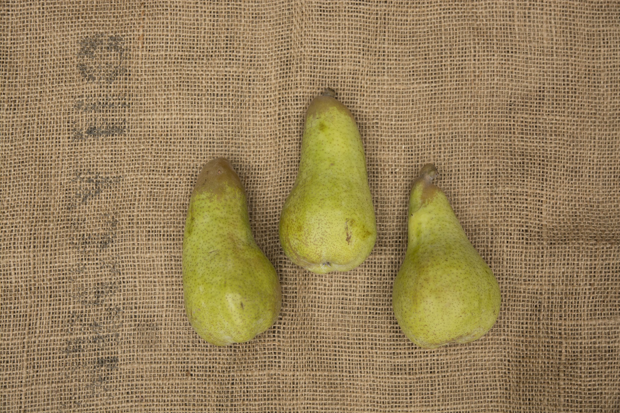 Abate Fetel Pears $2.49/lb