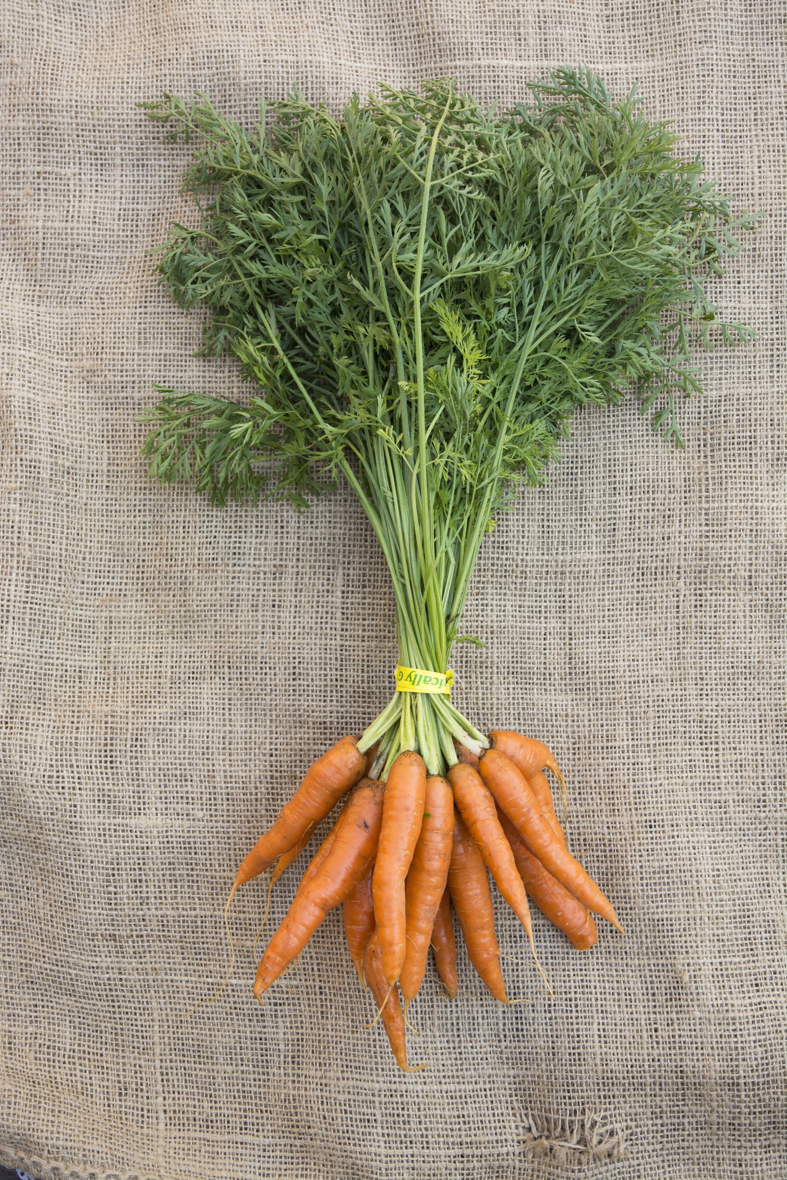 Bunched Nantes Carrots $1.99 each