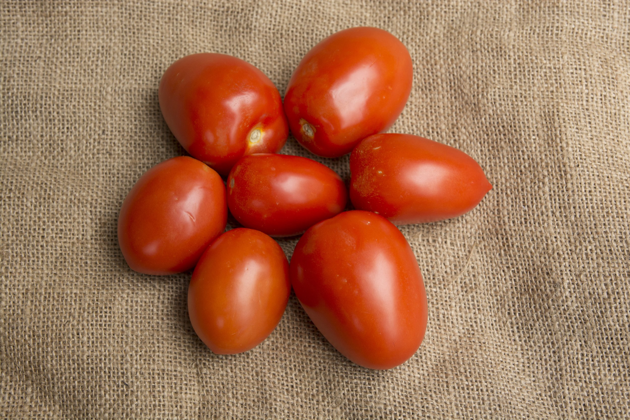 Roma Tomatoes $1.69/lb