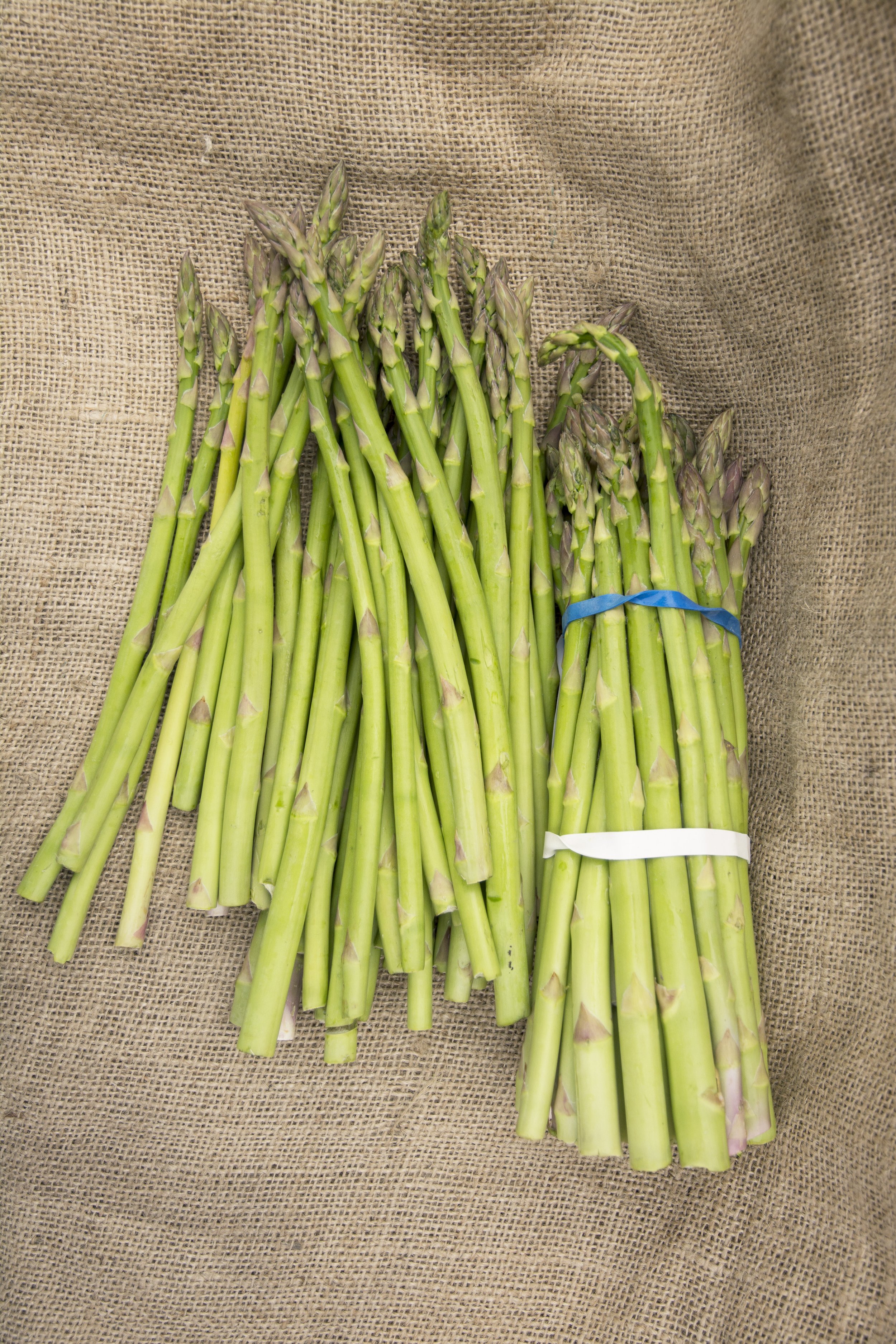 NW Asparagus $5.99/lb