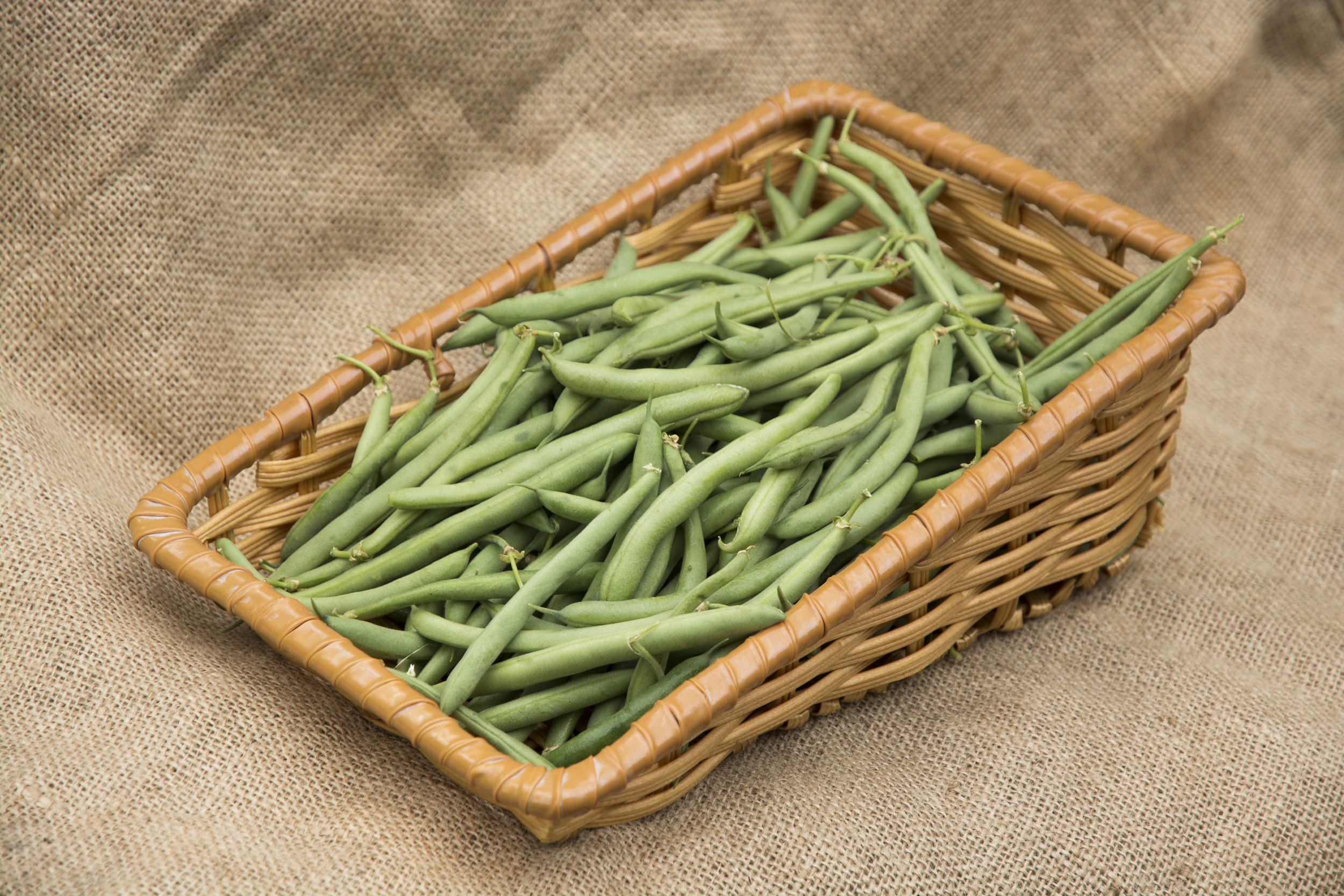 Fair Trade Green Beans $2.29/lb