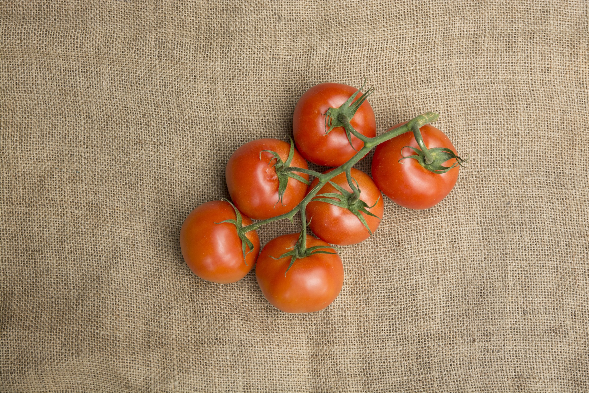 Tomatoes on the Vine $2.49/lb