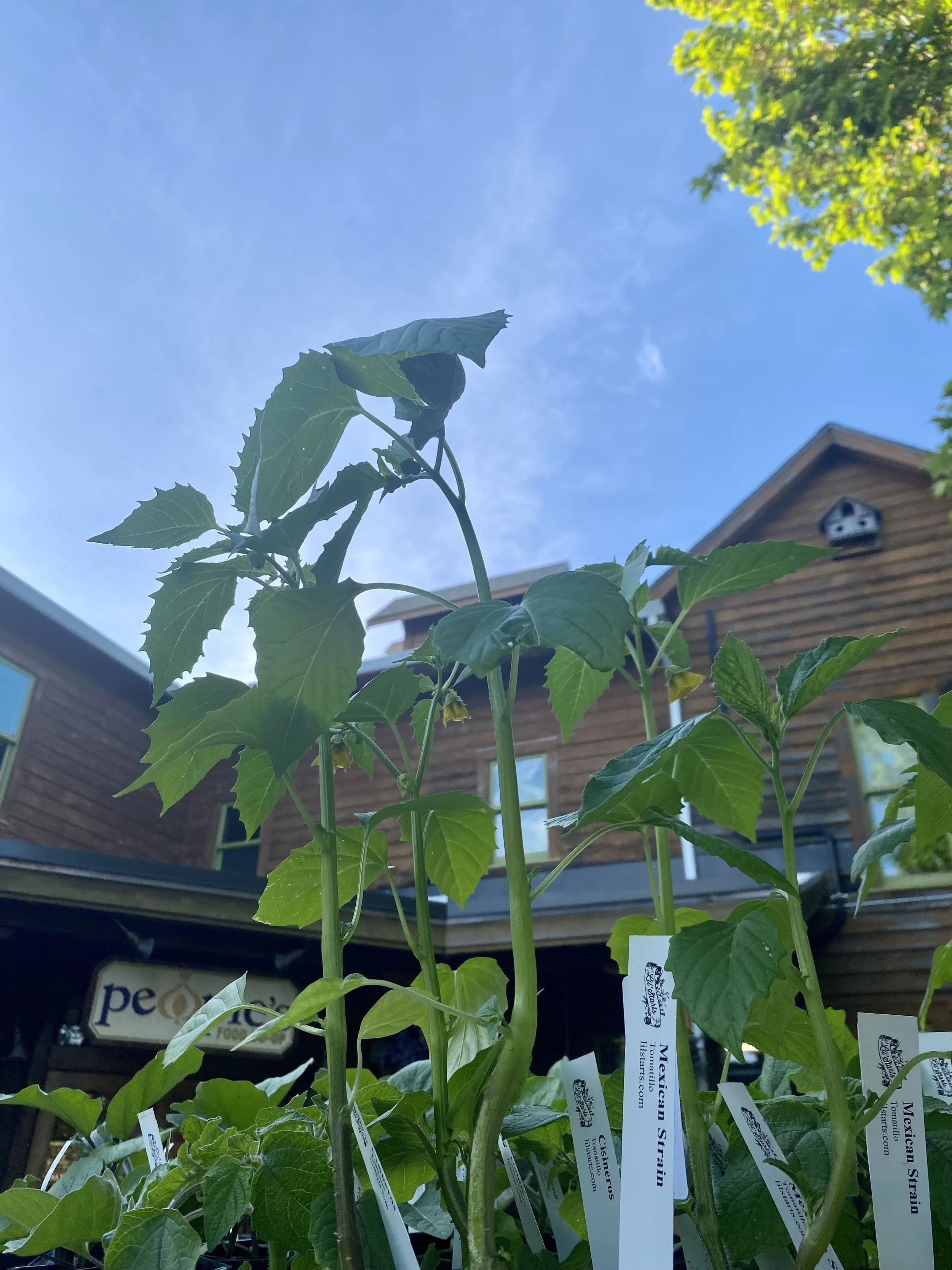 Support Indigenous Communities This Season