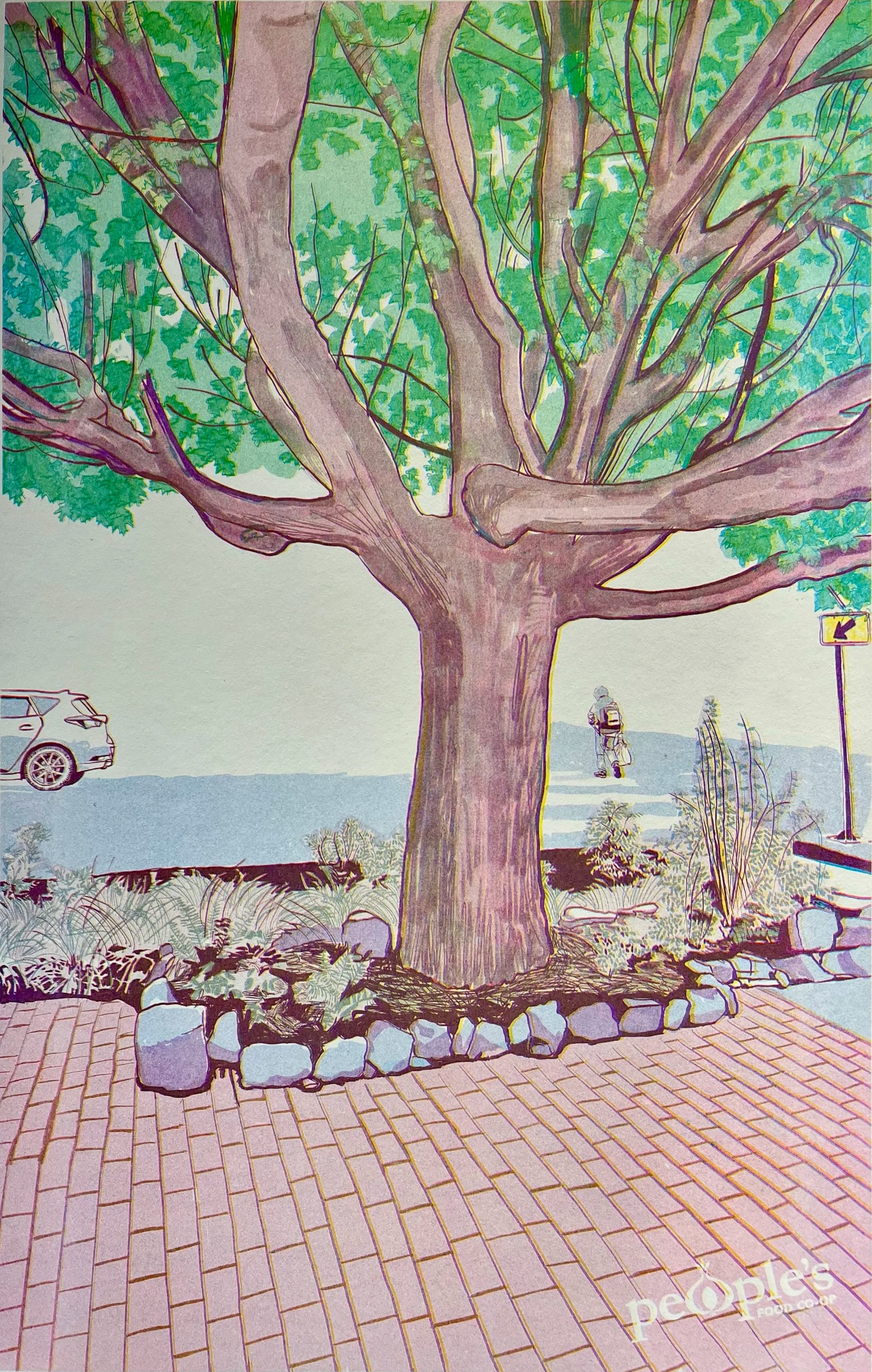 Invest in the Co-op and Receive a Gift!