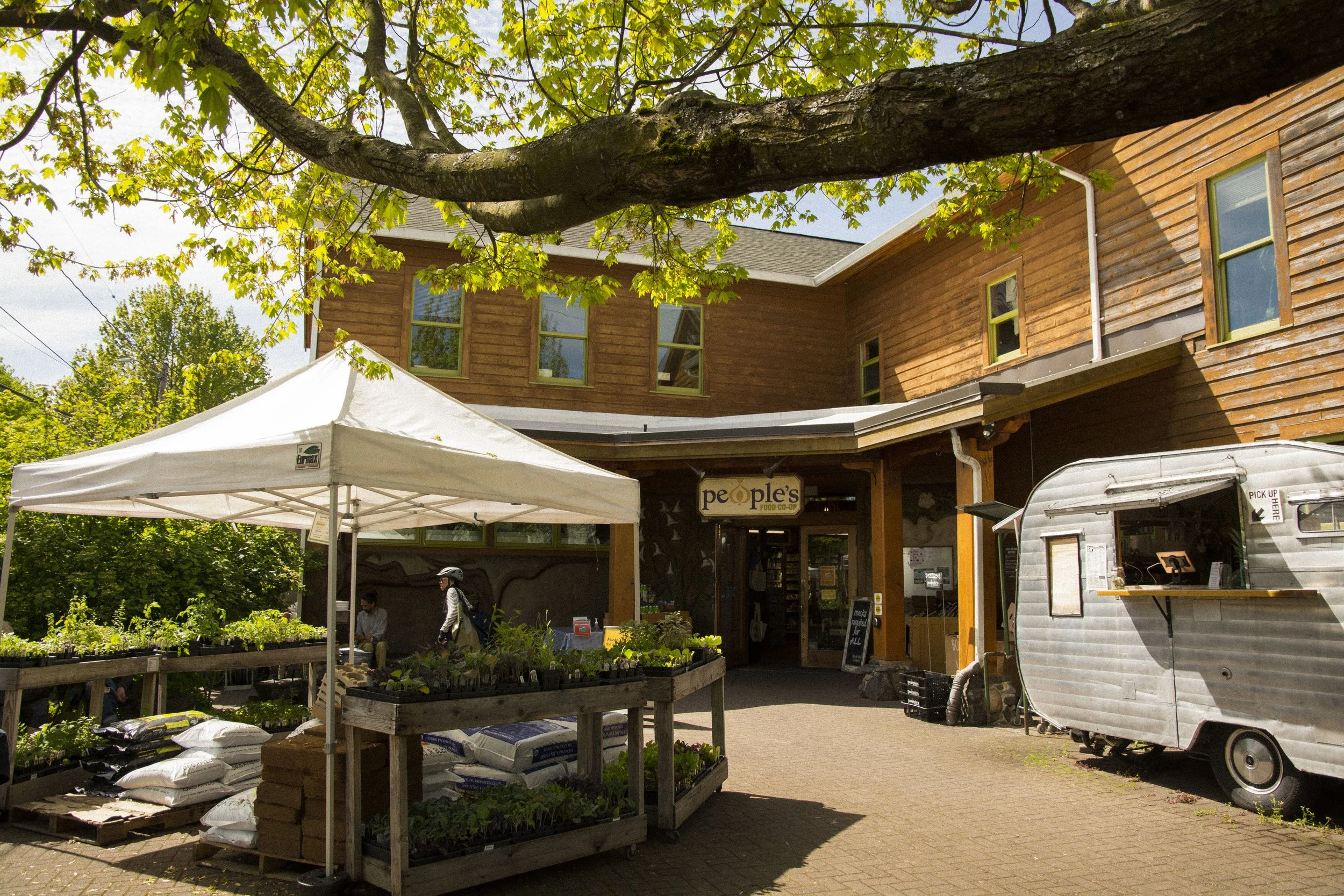 Spring Courtyard Tasting