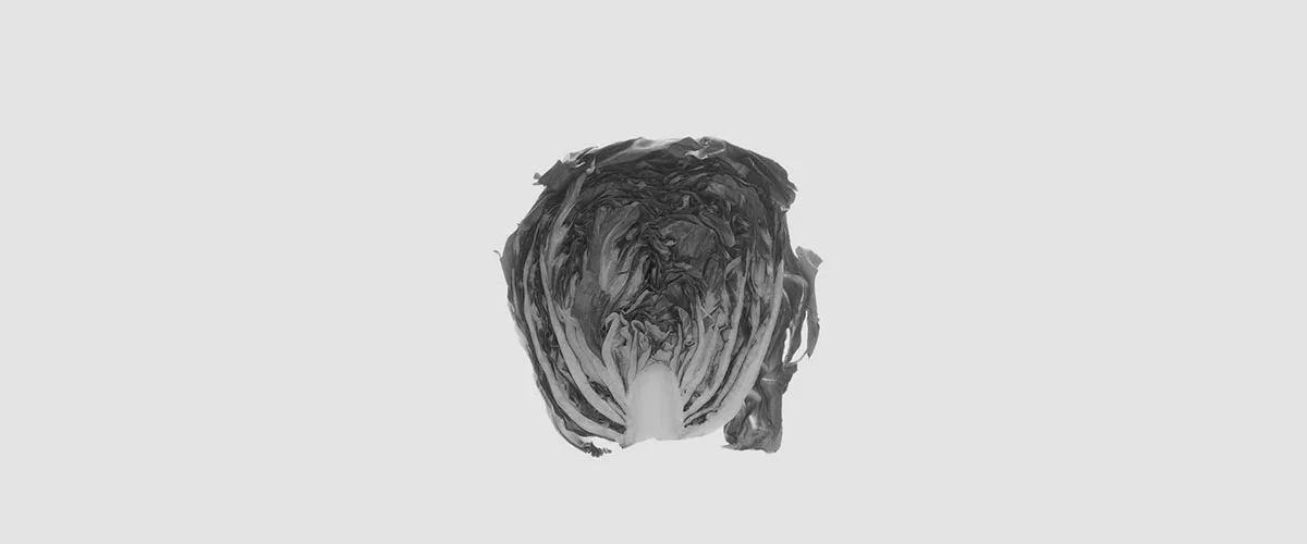 KR_Banner_Cabbage.jpg