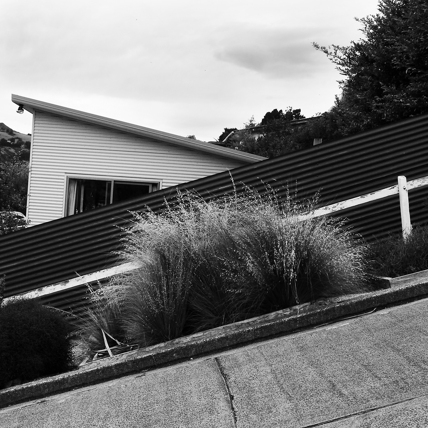 35% Incline, Baldwin St, New Zealand, 2016