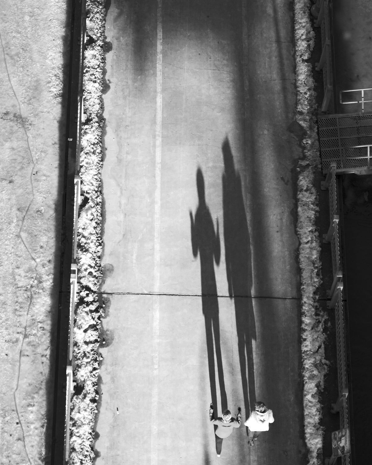 High Level, Hamilton , 2015