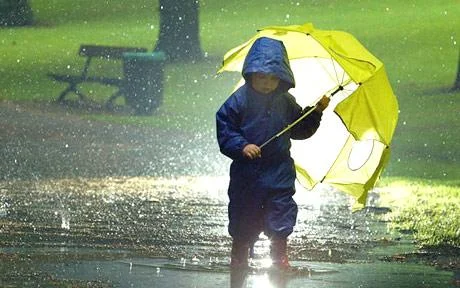 wet-weather-460_995731c.jpg