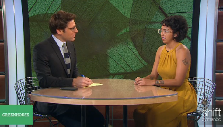 MSNBC+Greenhouse.png