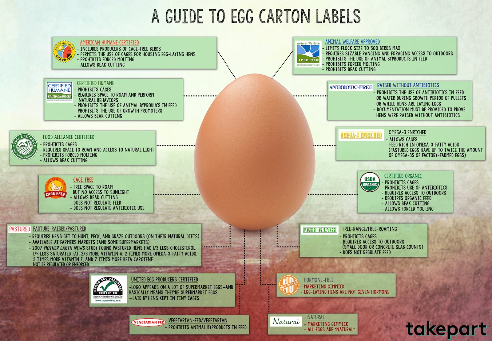 Everything You Need to Know About Egg Labels