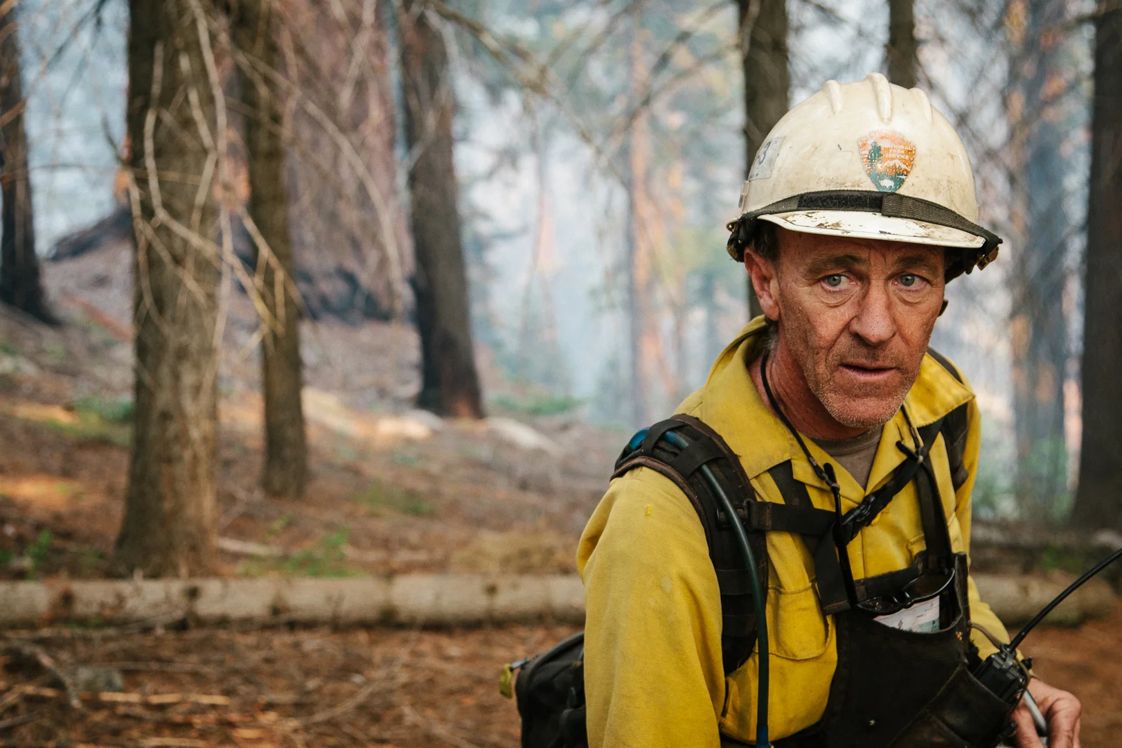 TakePart.com Features: Fighting Fire With Fire