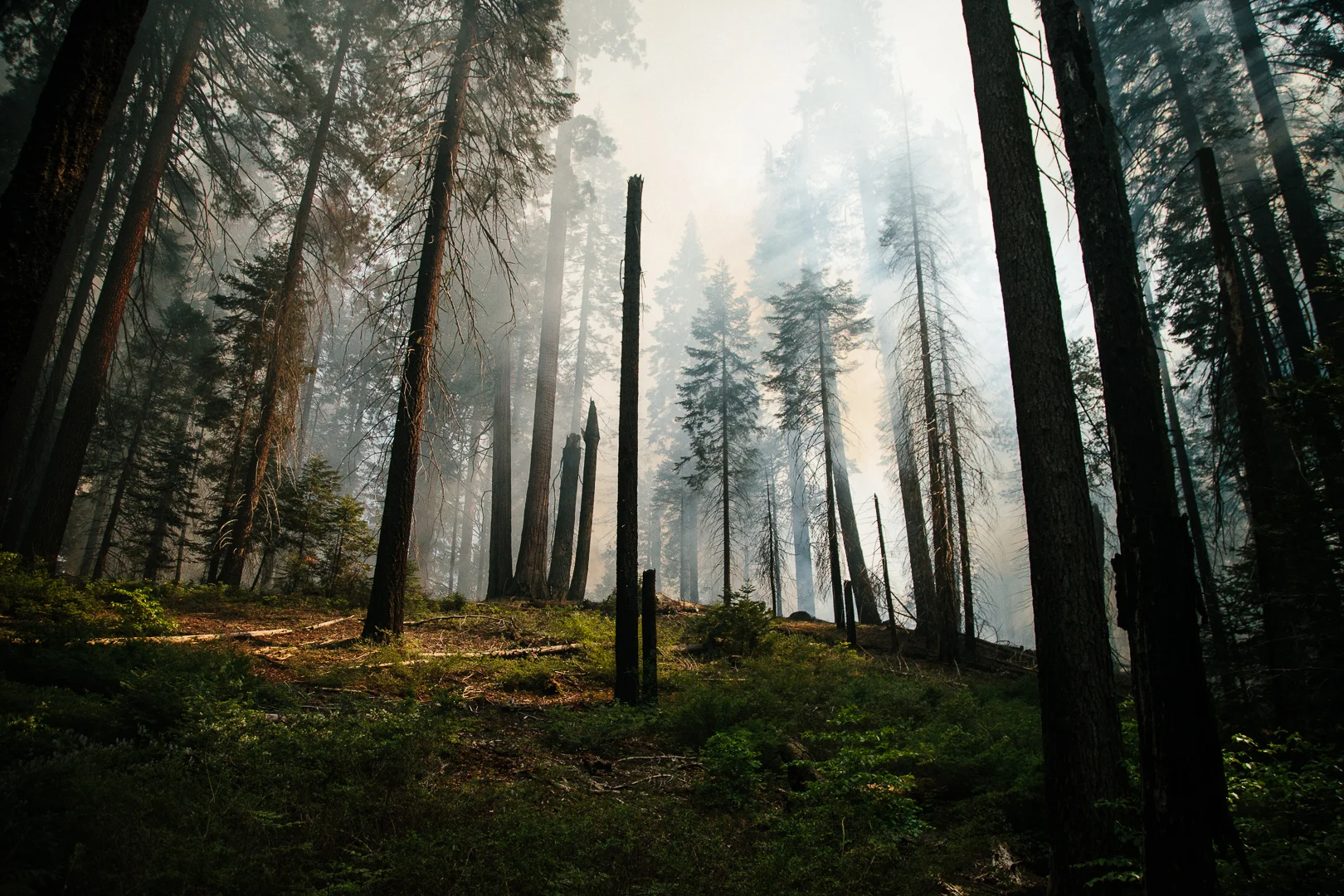 TakePart.com Features: Fighting Fire With Fire
