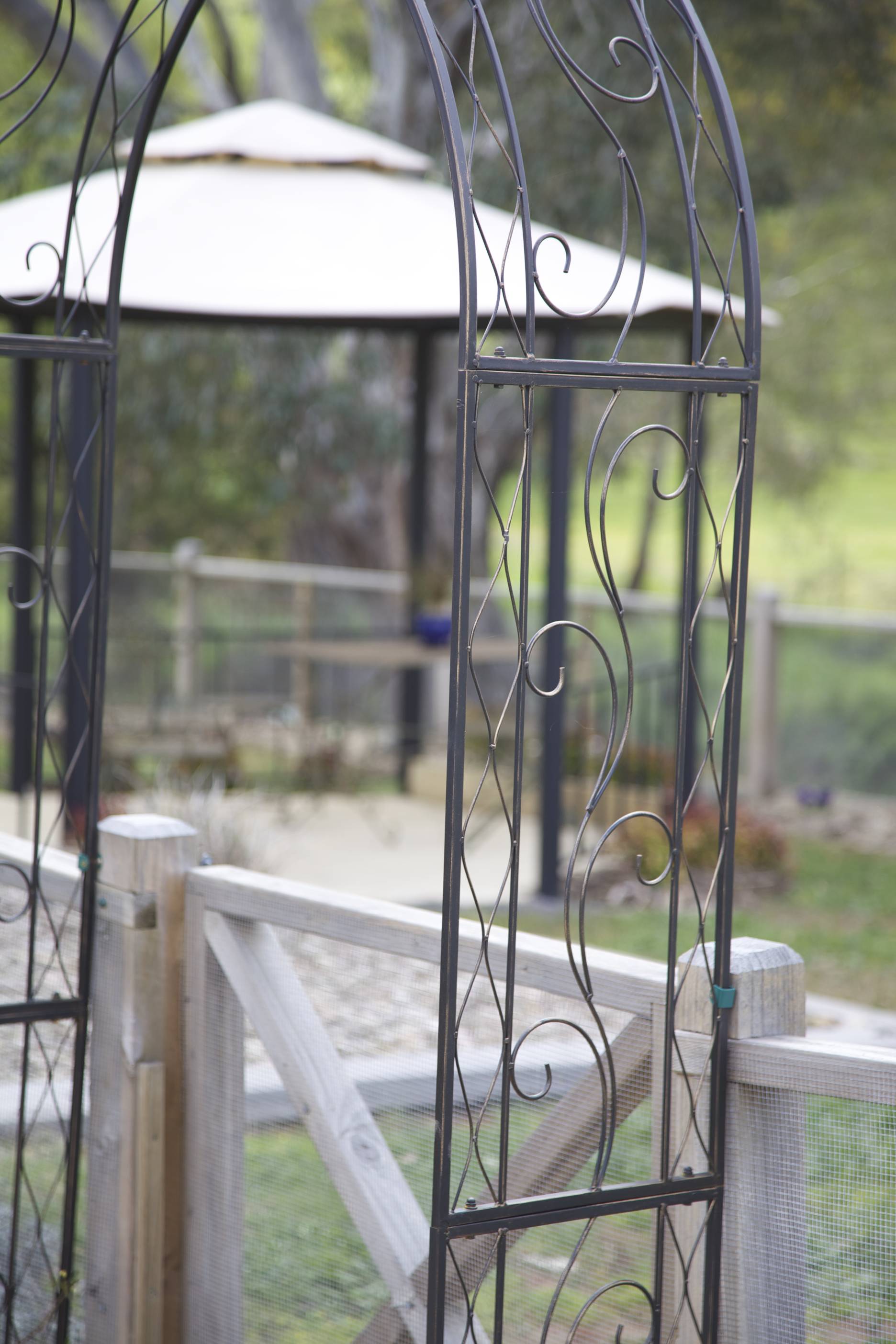 Fully fenced courtyard perfect for pets 